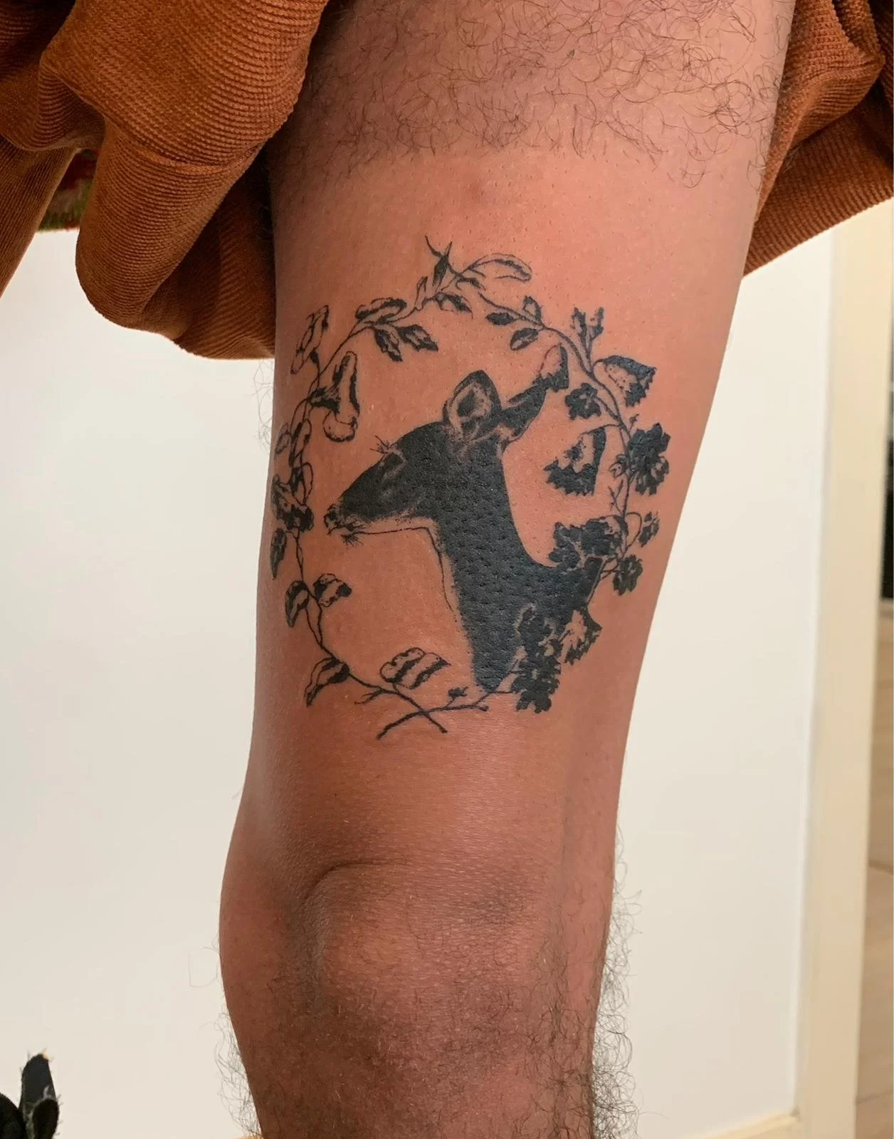 PHOTO-2026-02-13-17-40-32 3.jpg