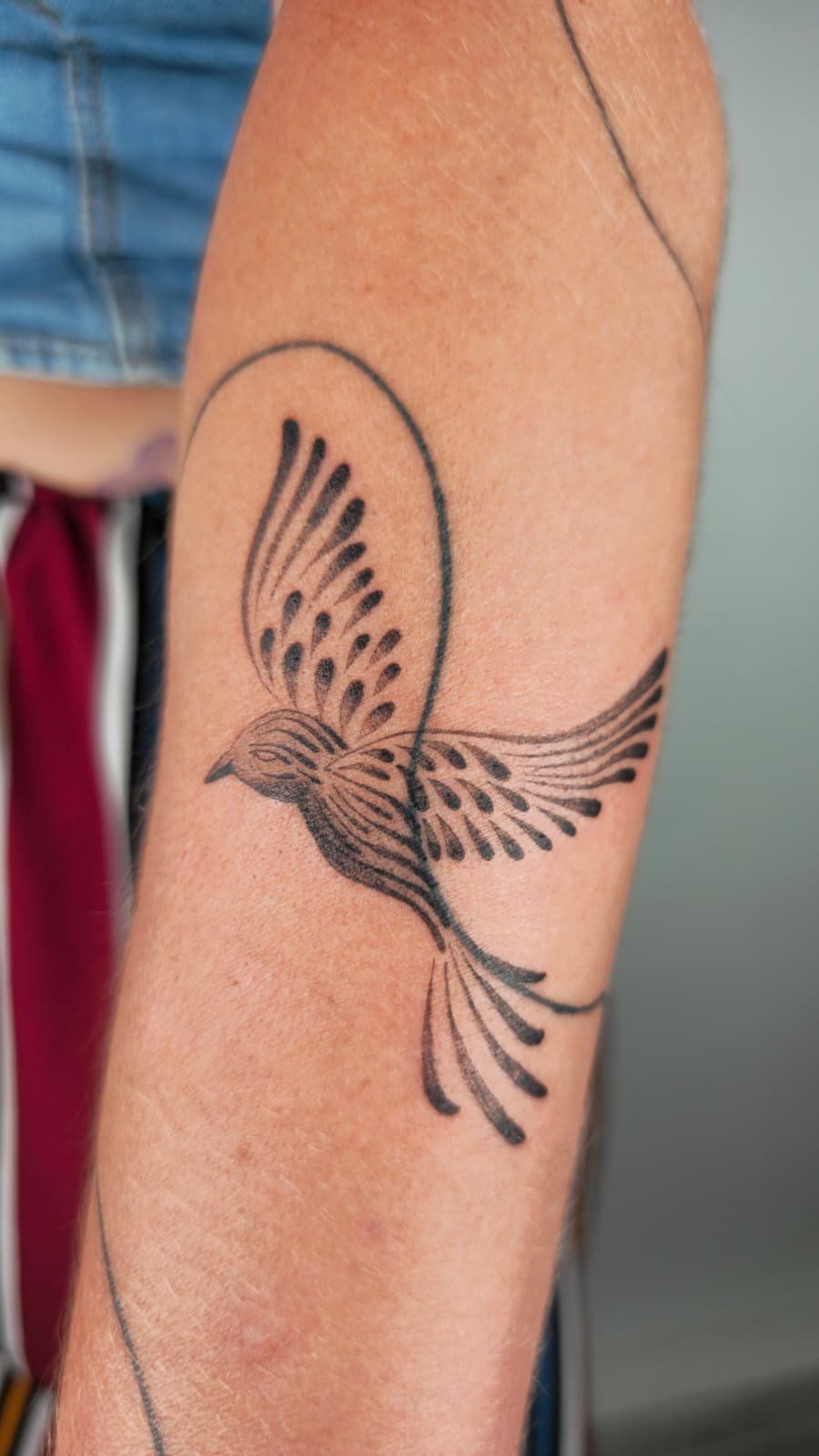 PHOTO-2026-02-13-17-38-25 2.jpg