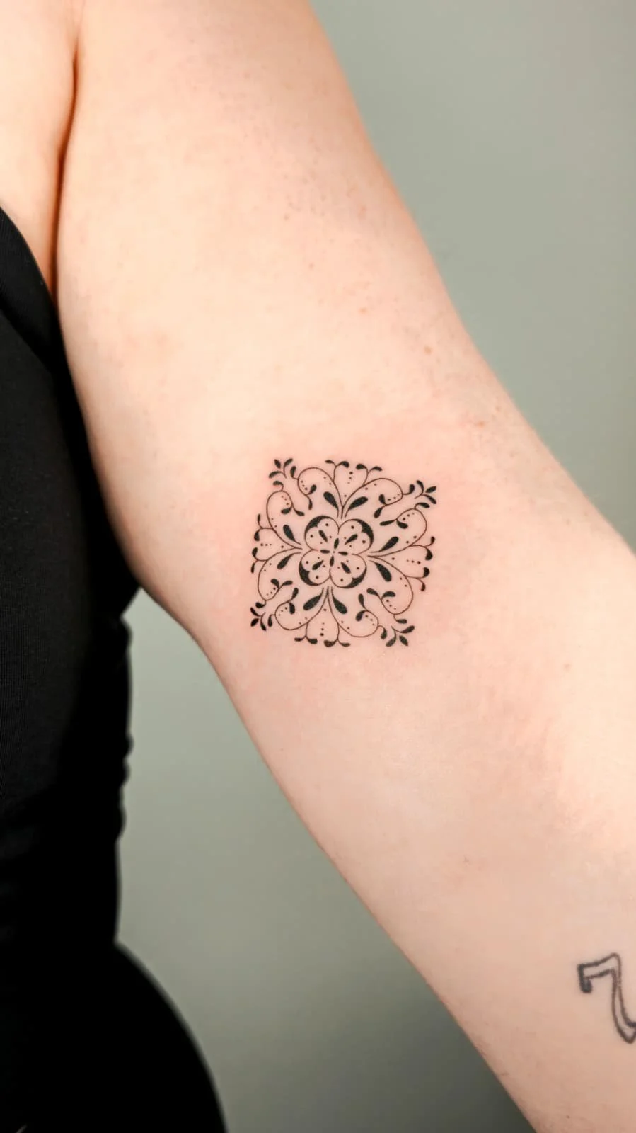 PHOTO-2026-02-13-17-38-26 2.jpg