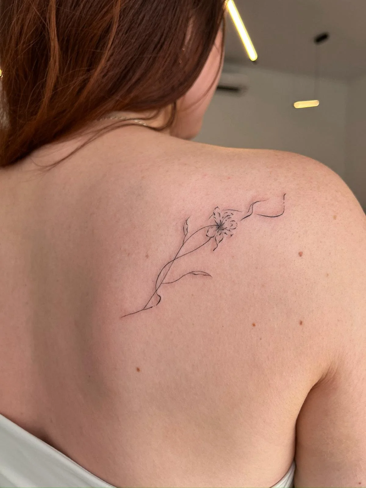 PHOTO-2026-02-13-17-42-11 4.jpg