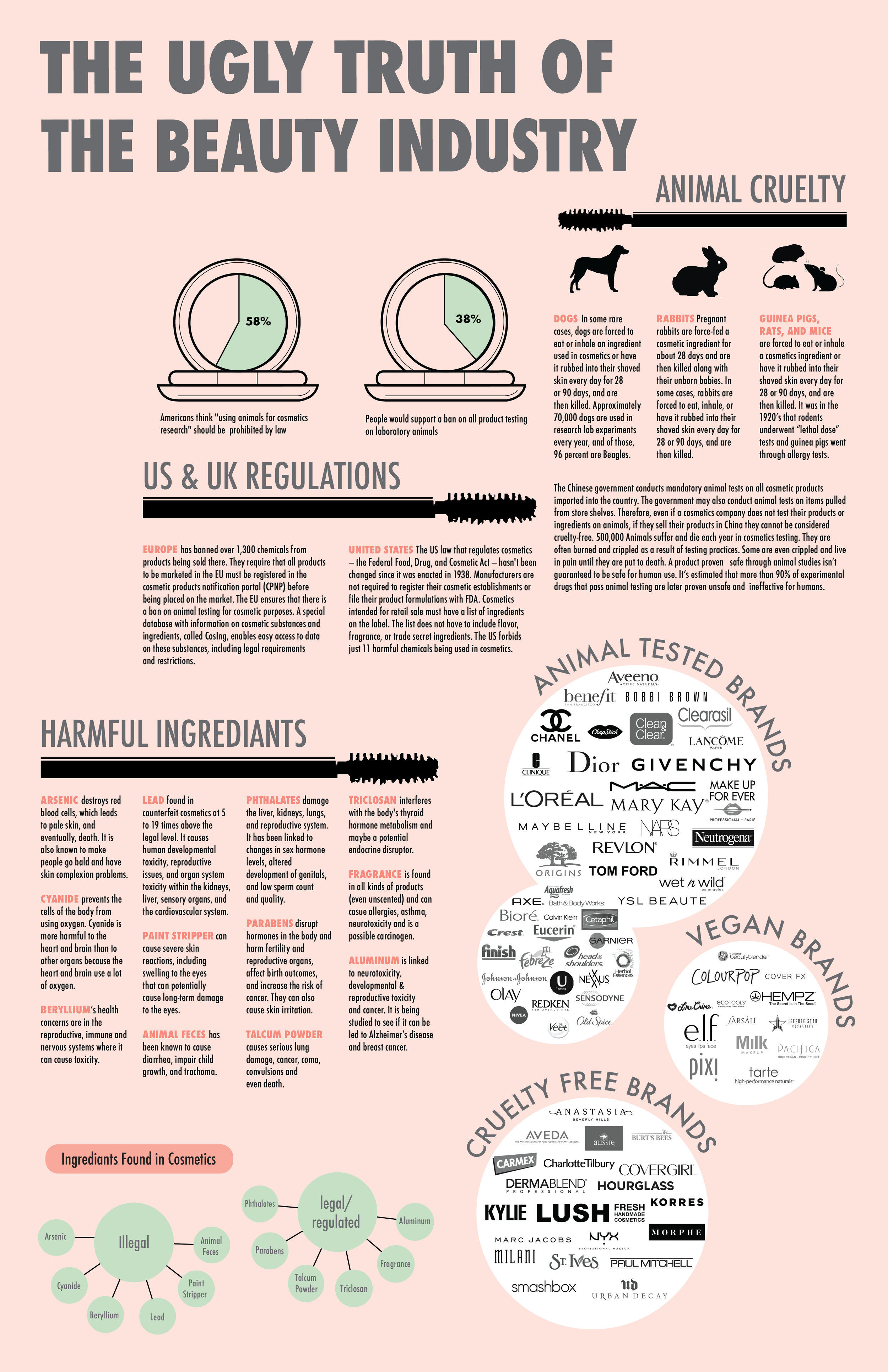 This infographic was designed to show what the current $500 billion beauty industry is like. This information is broken down into simple categories for consumers to understand the harmful nature of the beauty industry.
