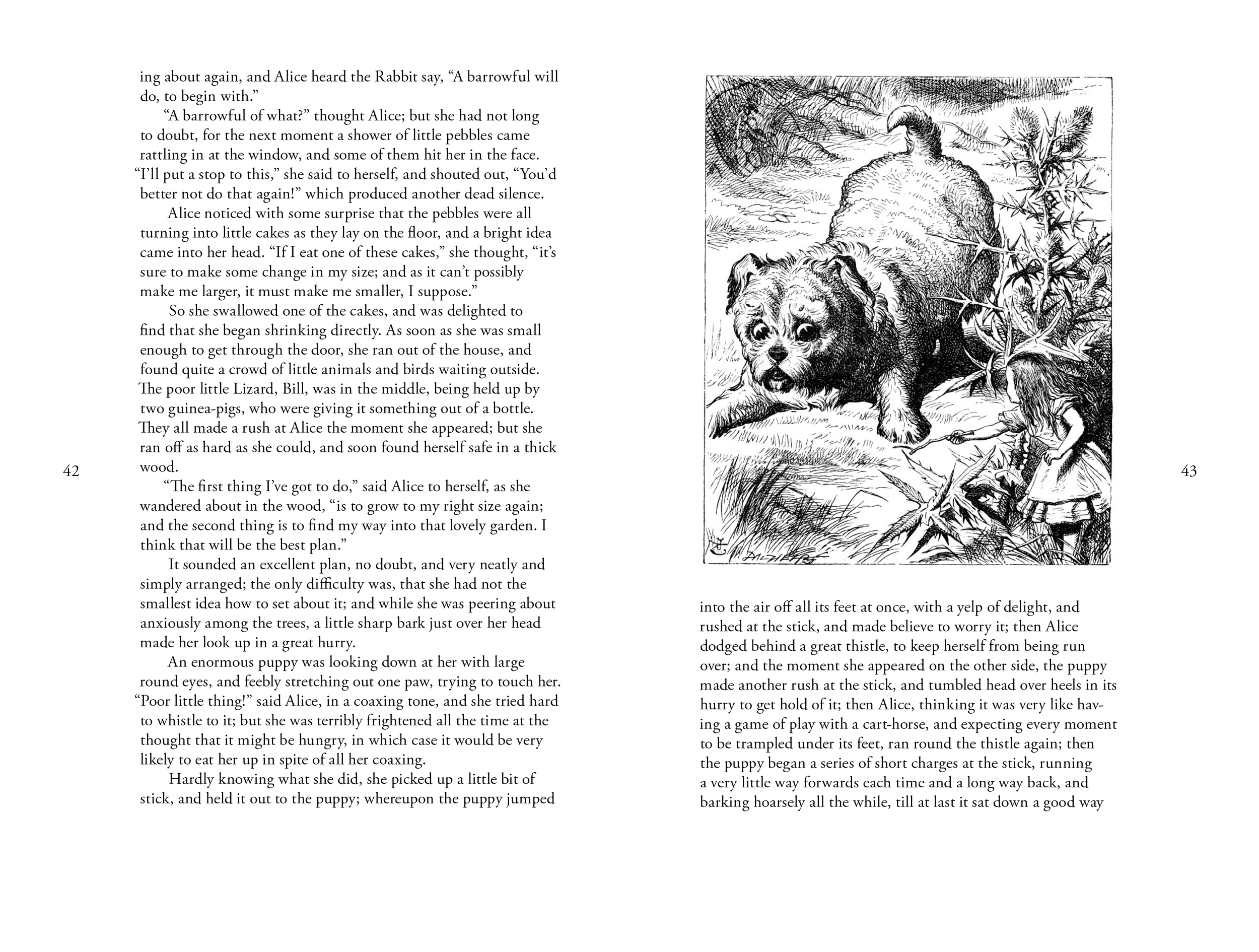 alice's adventures in wonderland22.png