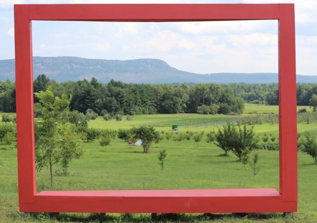 Yoga in the Orchard