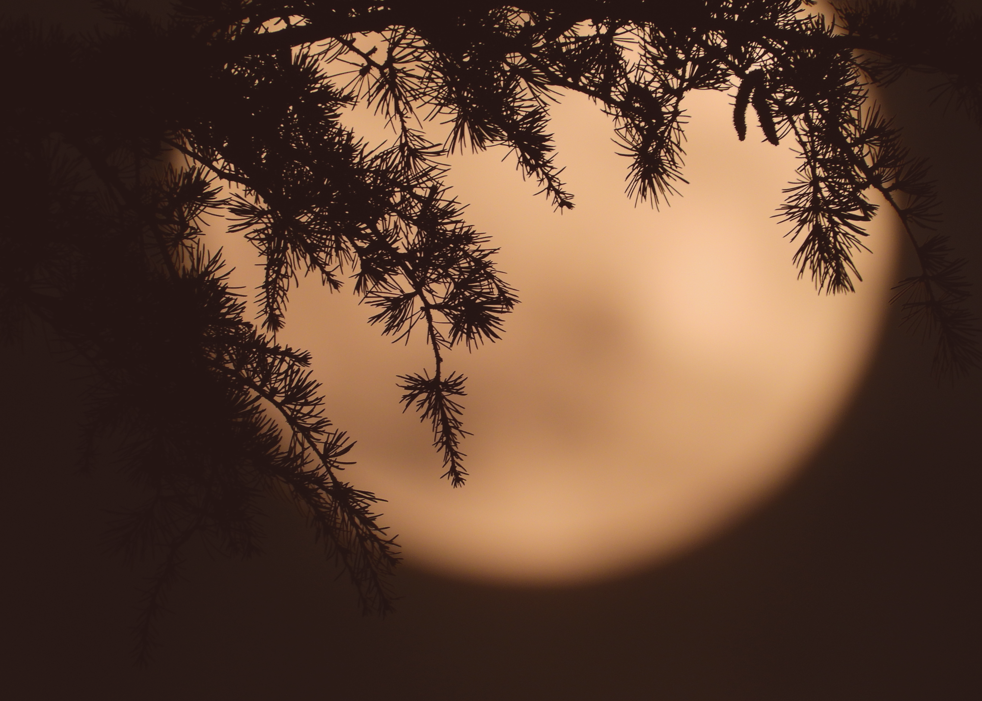 Full Moon Circle (In-Studio)