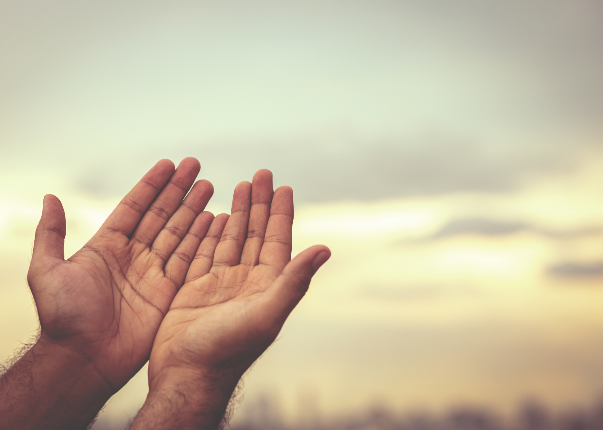 Making Peace With Your Body
