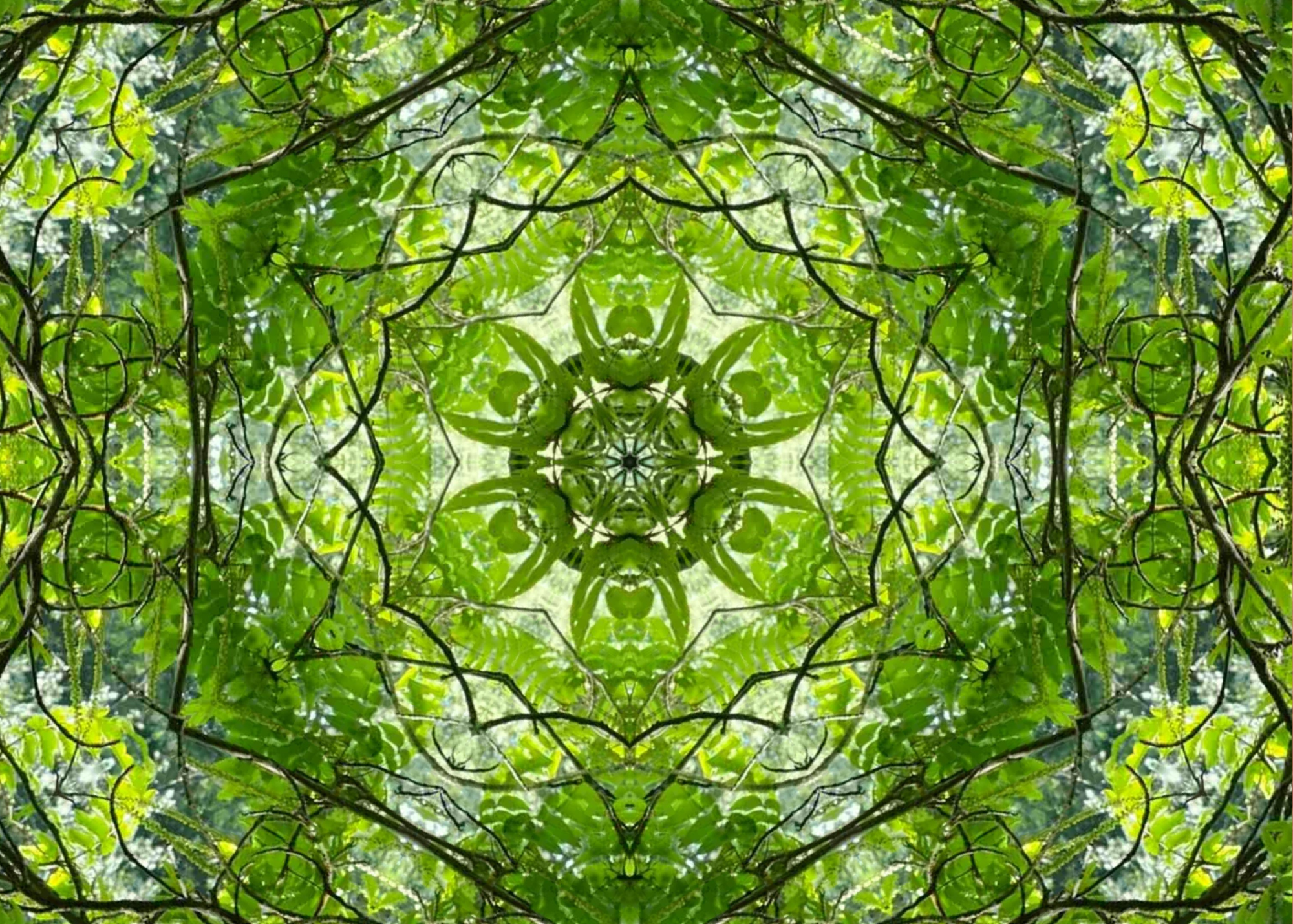 Gather & Ground: Community Acupuncture Series