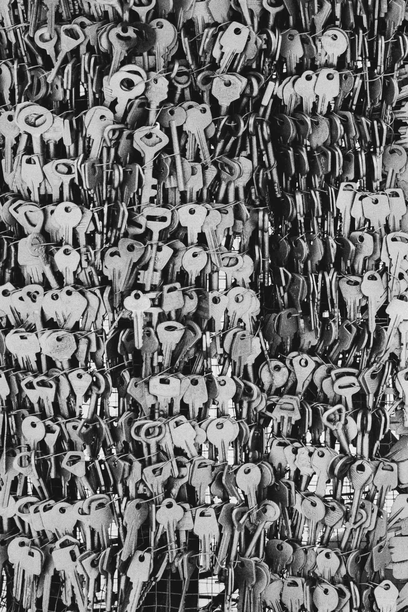 Photoshop (2359 of 1).jpg