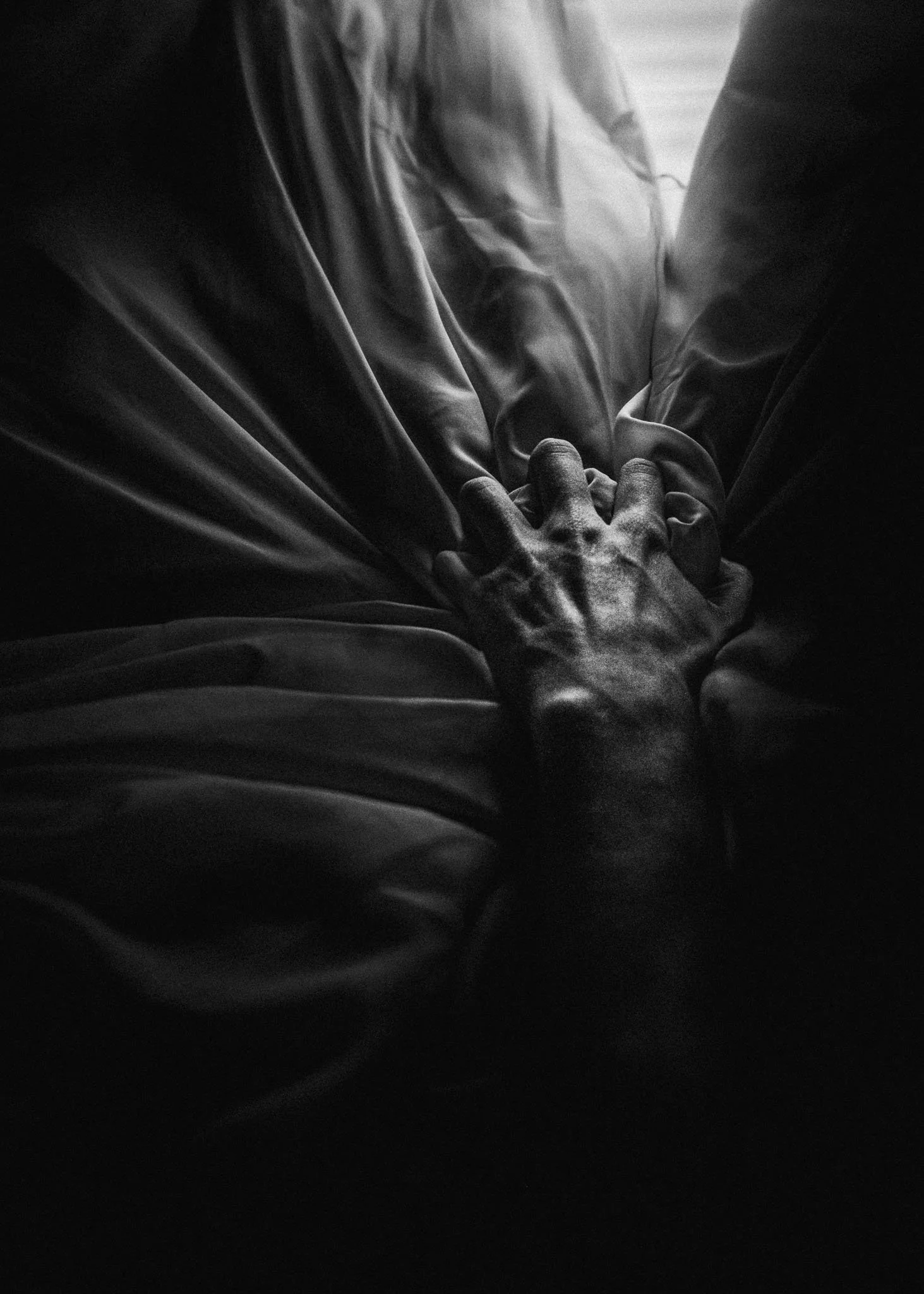 Photoshop (2469 of 1)-2.jpg