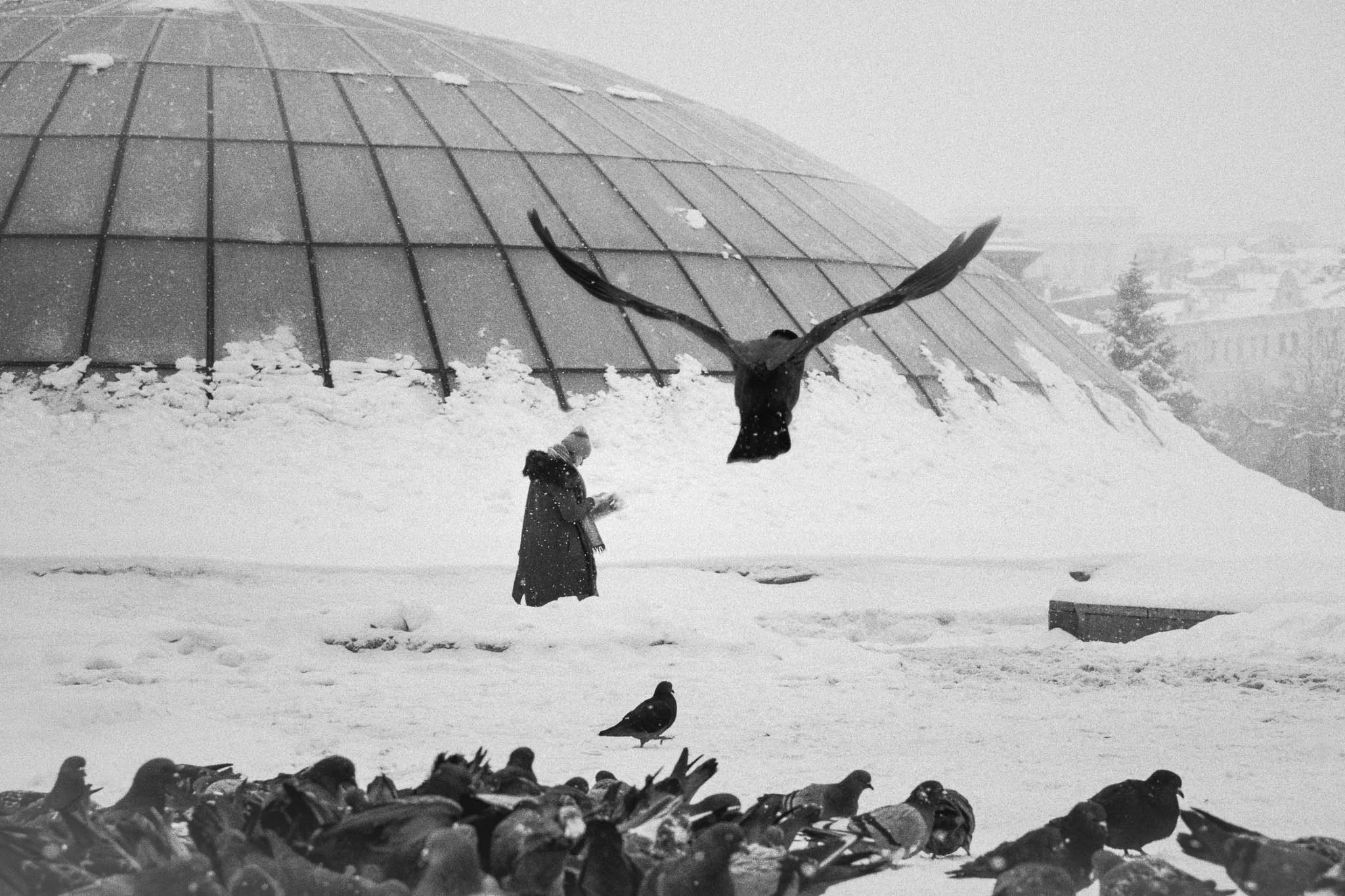 Photoshop (2356 of 1)-2.jpg