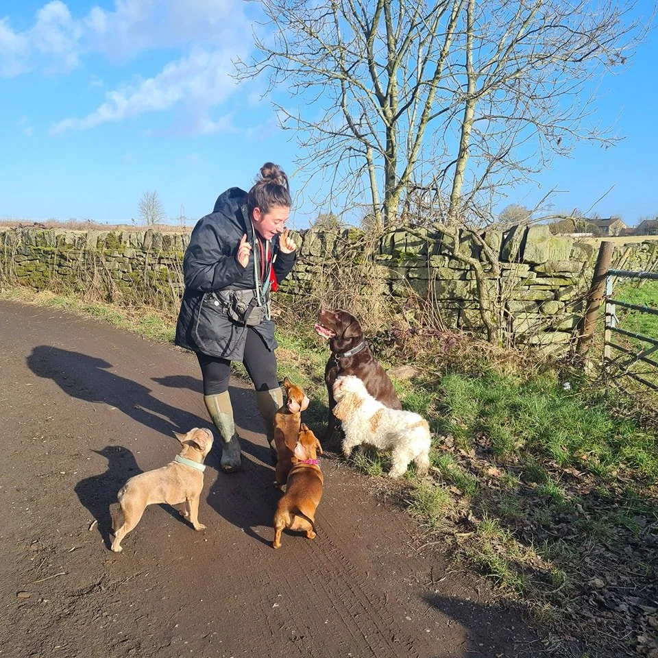This week's happy pups 🐕

We have availability for lunchtime group walks, please feel free to DM/eMail/Whatsapp to arrange a complementary meet&amp;greet 🥰

See website for price list &amp; additional information;

https://www.pupandpawpdw.co.uk/

