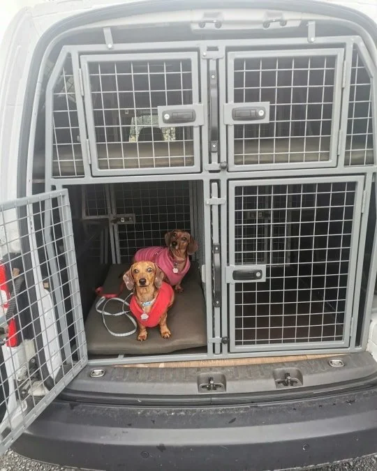 Let's talk transport 🚐

Your pets safety is of upmost importance to us, the ventilated Pup&amp;Paw-mobile is perfect for ensuring your babies are travelling safe and sound!

Equipped with 7 individual cages, meaning your dog will travel seperatley f