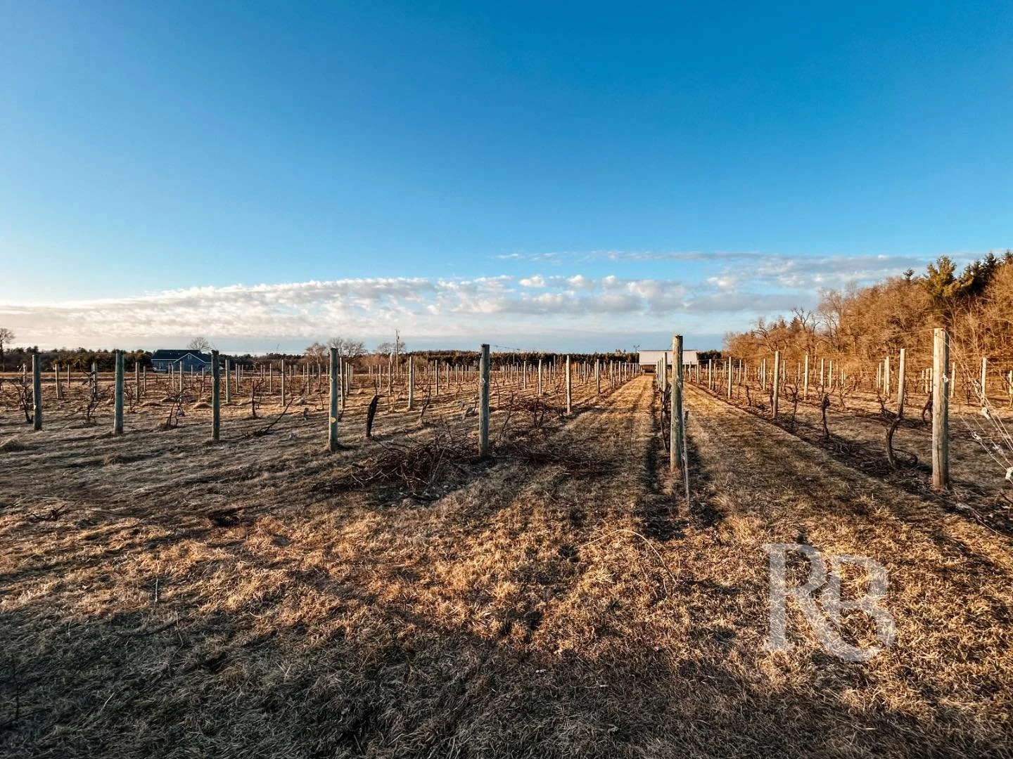 The River Bend vineyard still looks a little quiet&hellip; but not for long. 🍇 In just a couple months these vines will be covered in bright green leaves and tiny little clusters of grapes. Every season starts right here, and we love watching the vi