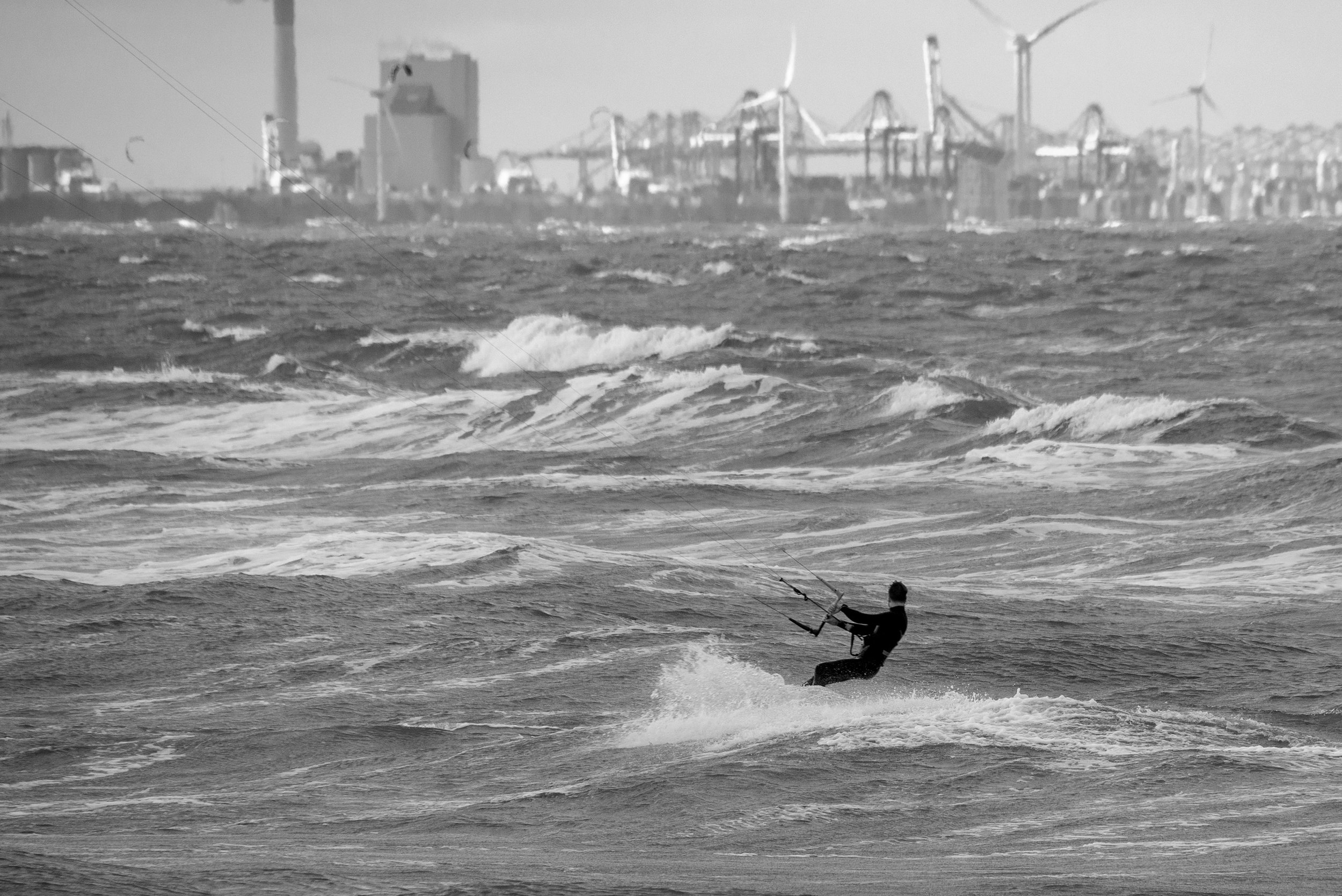DSC_8805.jpg