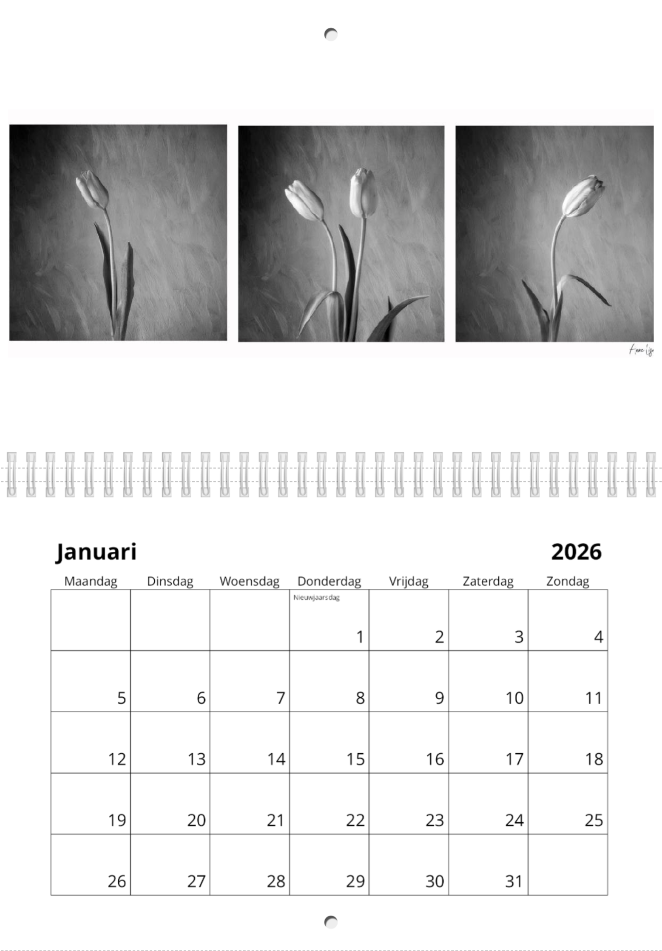 Scherm­afbeelding 2025-12-04 om 16.36.05.png