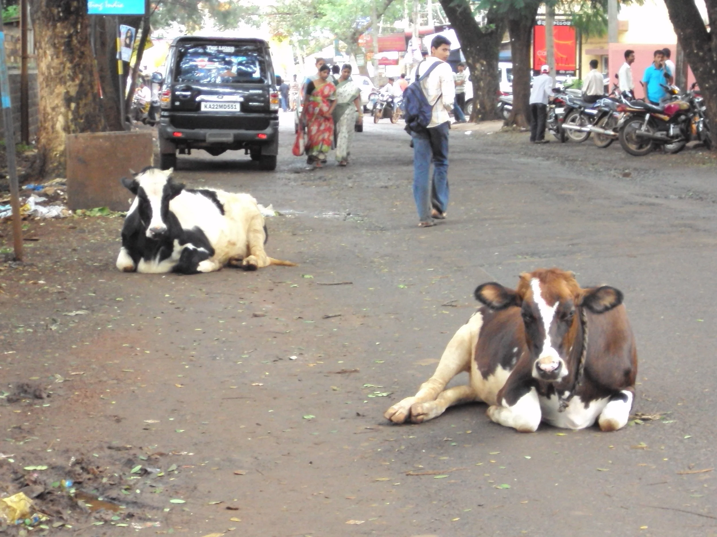 Lessons in trust and surrender