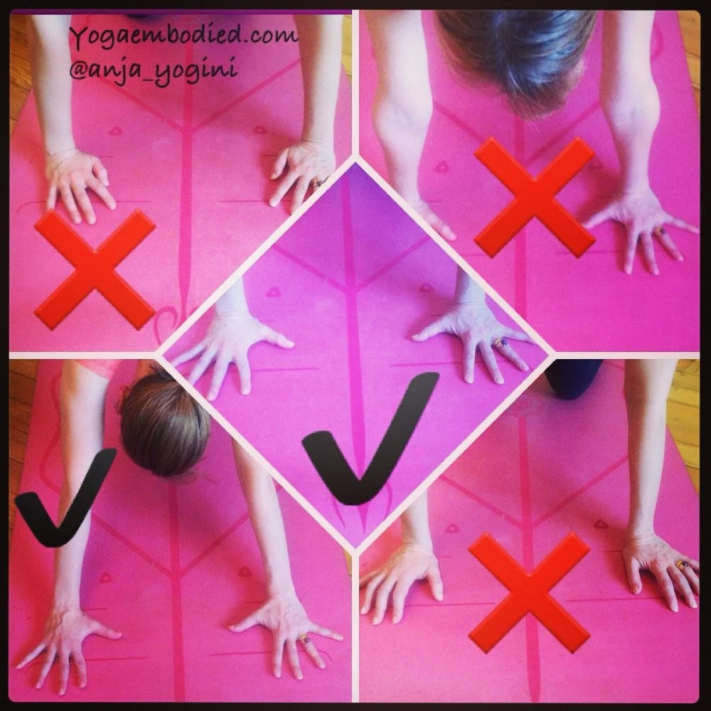 Wrists, fingers and inner elbows