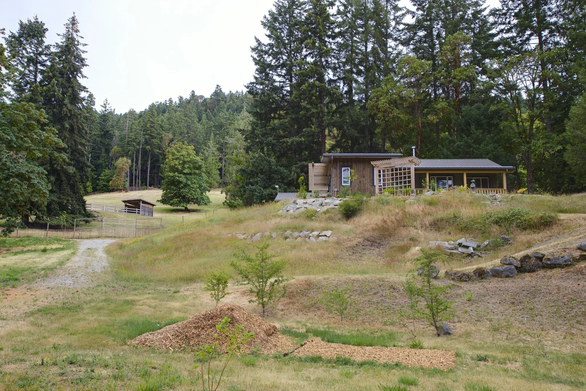 EXT. LOWER YARD.jpg