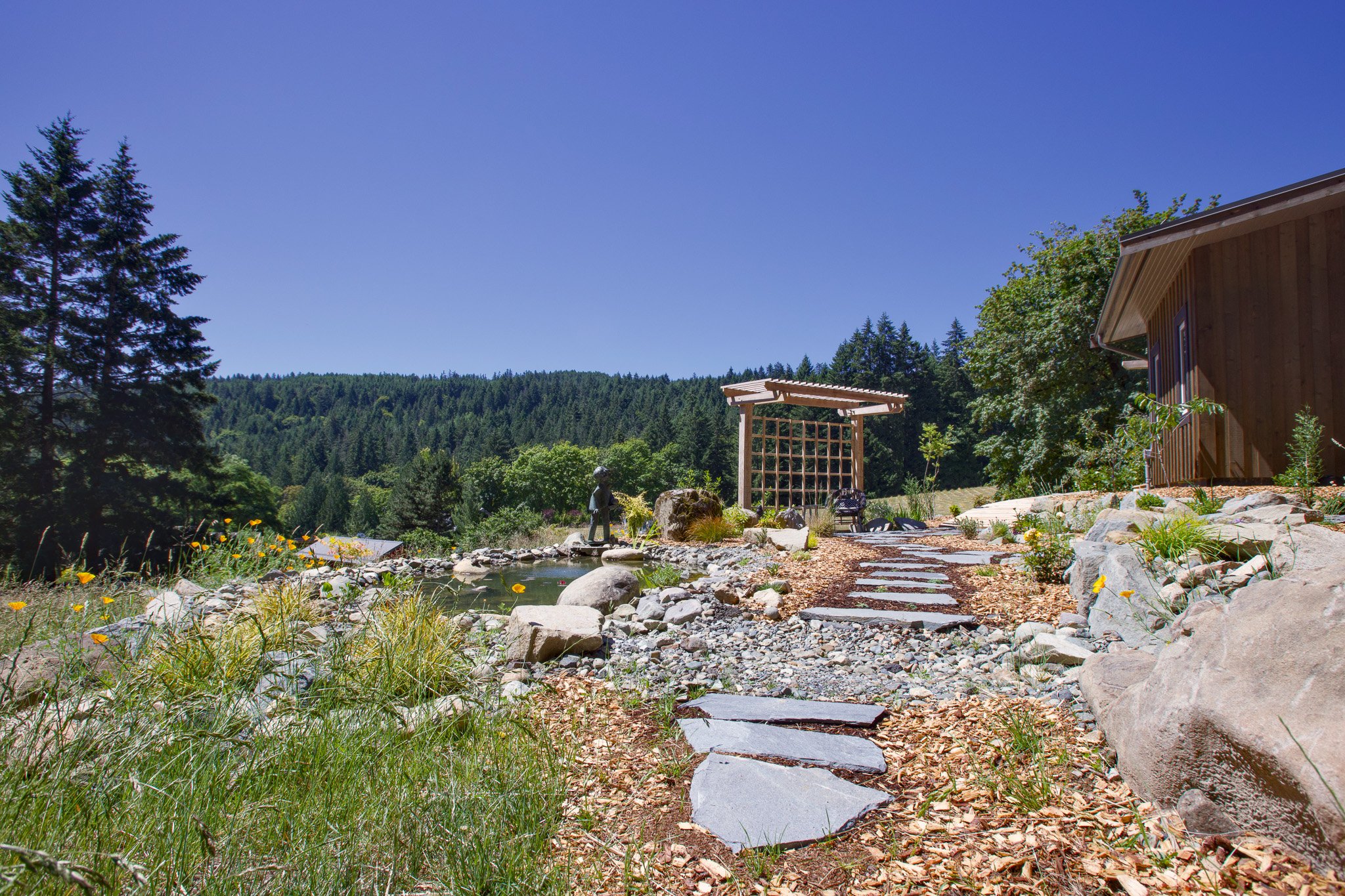 POND (1).jpg