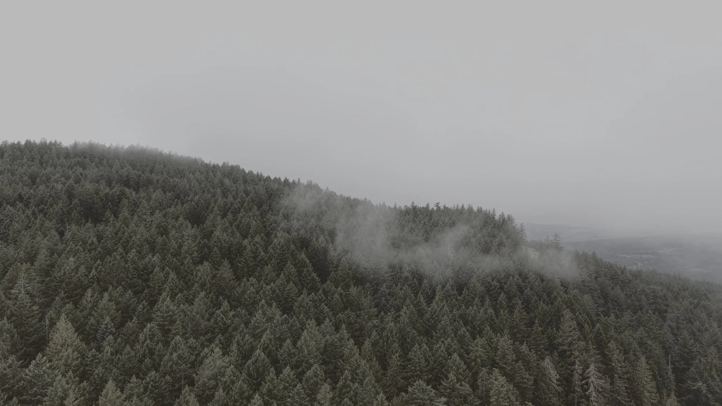 WEBSITE BG.jpg
