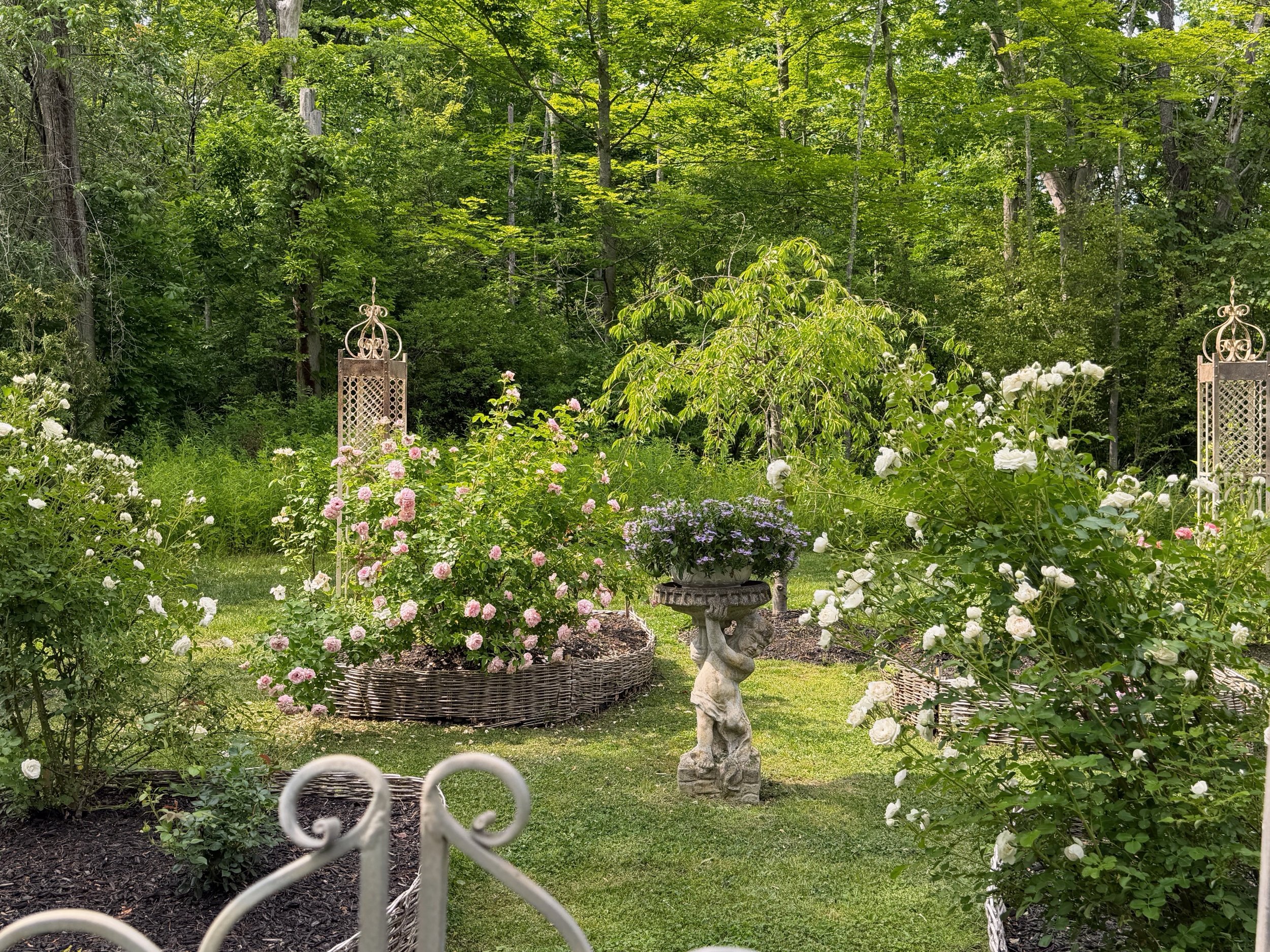 The gardens are looking lovely. Each plant is giving its June best right now! It&rsquo;s so satisfying to see what we planted thriving (minus a couple of roses we lost over the winter that need to be replaced). The garden will only get better with ti