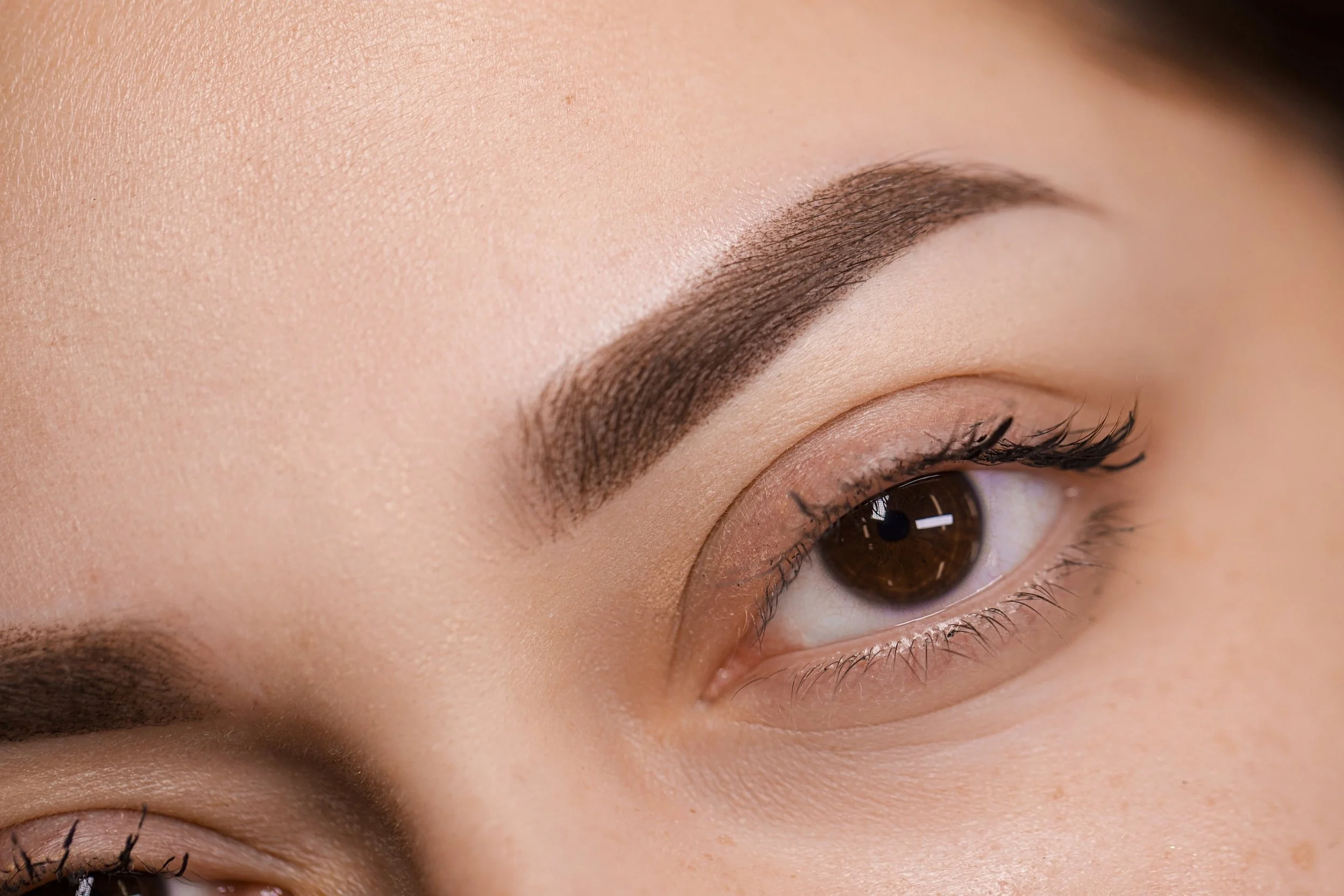 Close-up of a woman's eye with well-groomed eyebrow, long eyelashes, and neutral makeup.