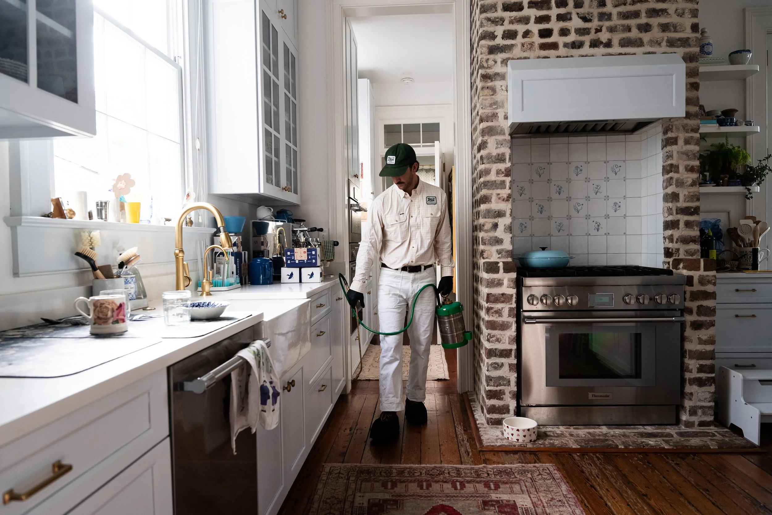 Interior pest control service