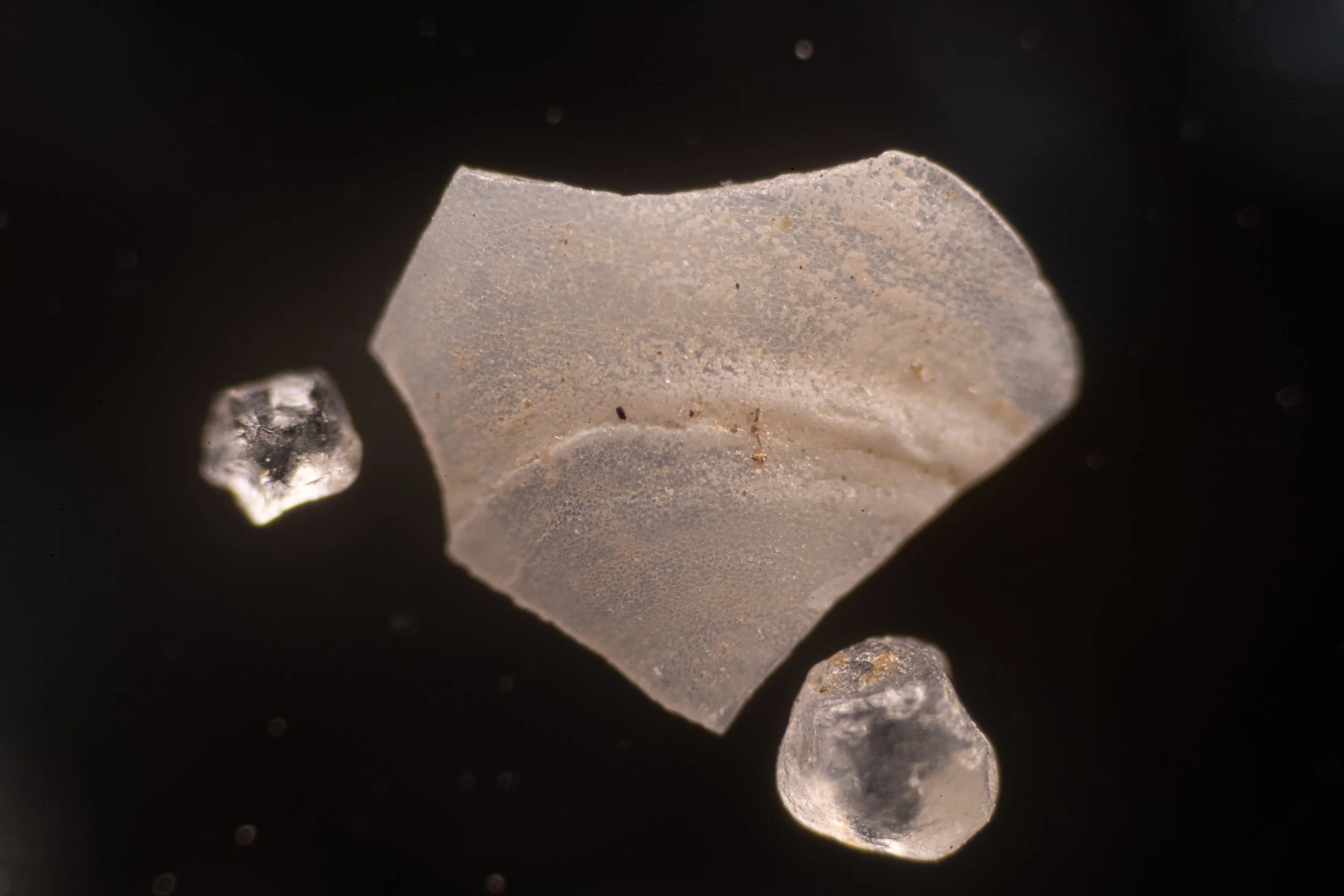 20211022 DSC_1970.jpg