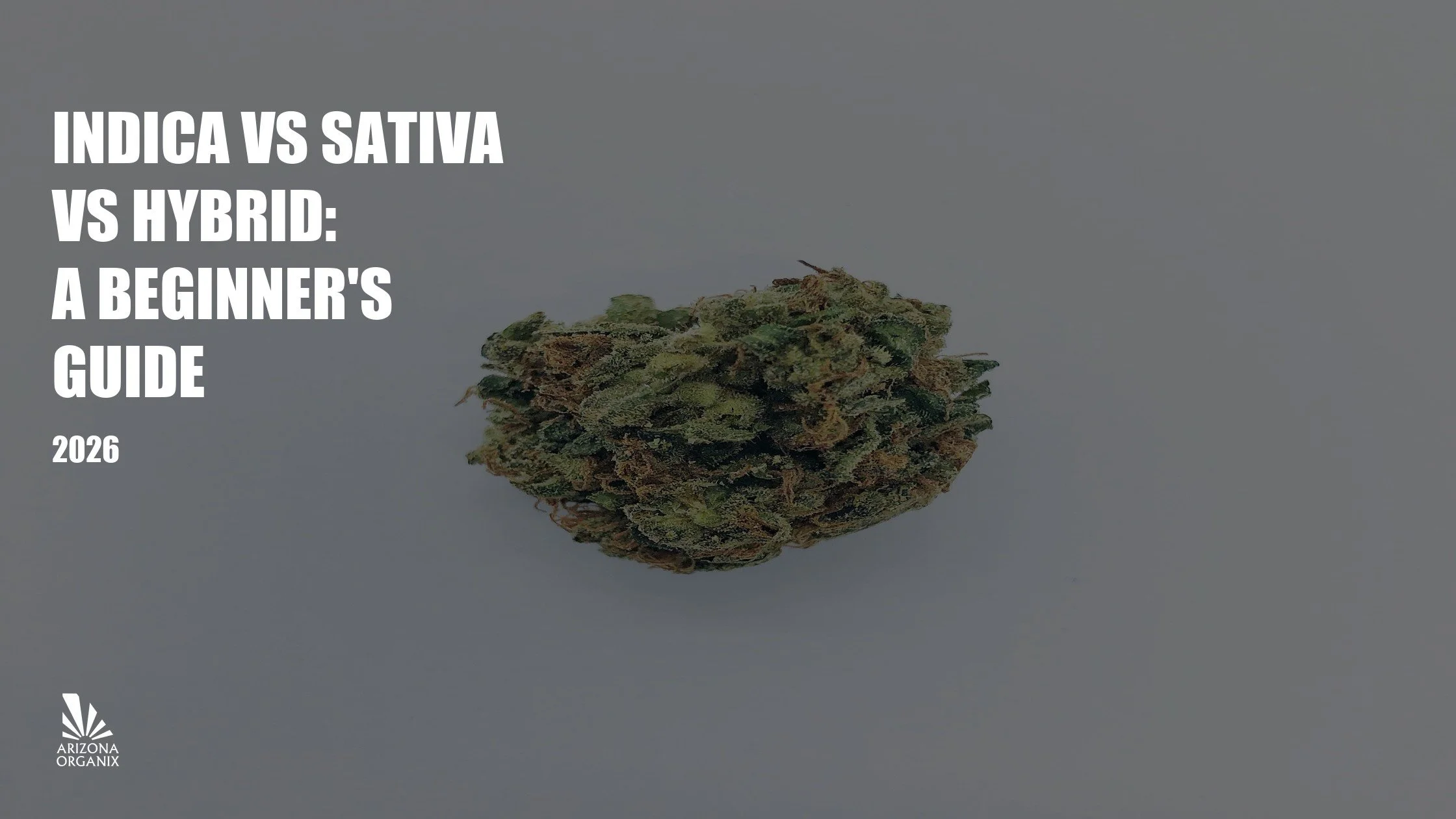 Indica vs Sativa vs Hybrid: A Beginner's Guide