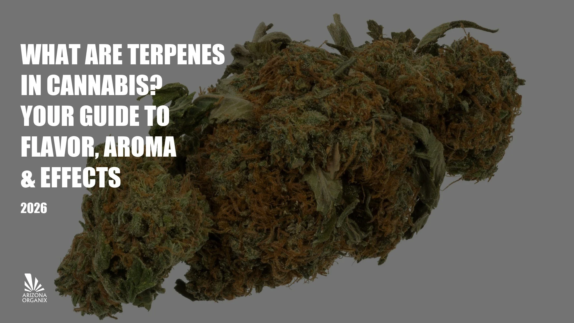 What Are Terpenes in Cannabis? Your Guide to Flavor, Aroma & Effects