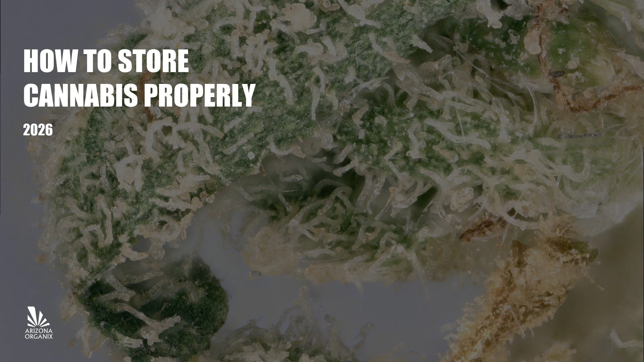 How to Store Cannabis Properly: Keep Your Flower, Edibles & Concentrates Fresh