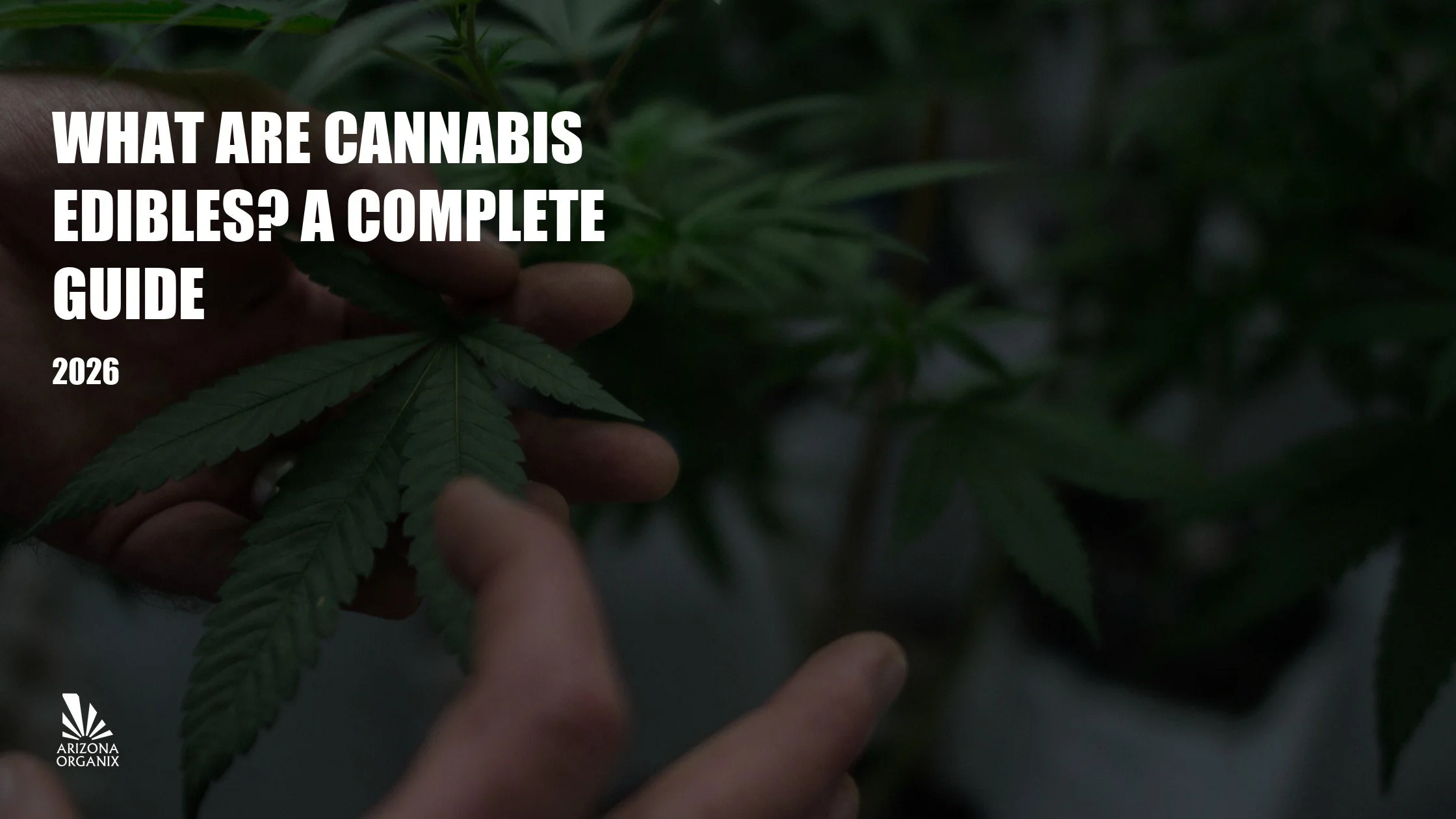 What Are Cannabis Edibles? A Complete Guide to Types, Dosing & What to Expect