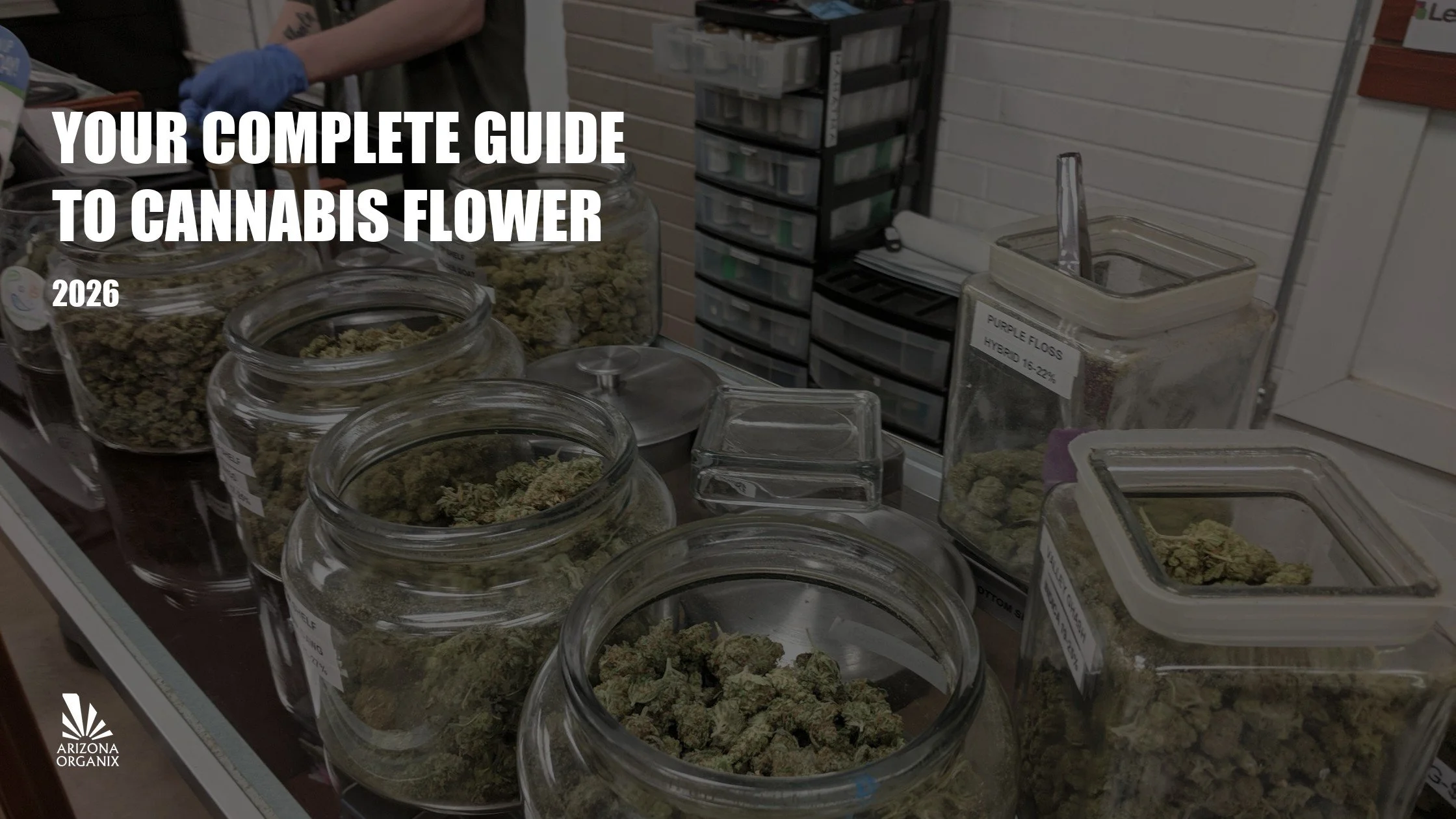 Your Complete Guide to Cannabis Flower: What to Know Before You Buy