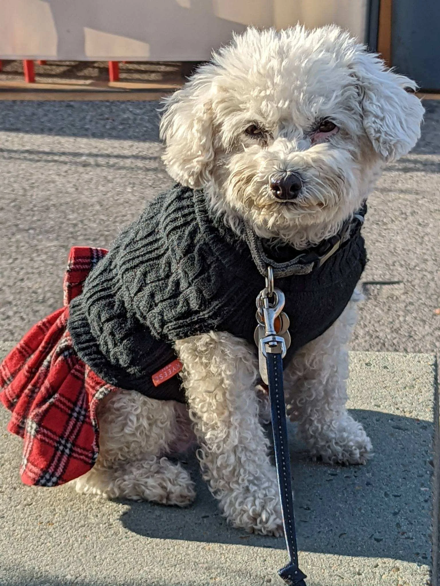 Sophie Best Outfit.jpg