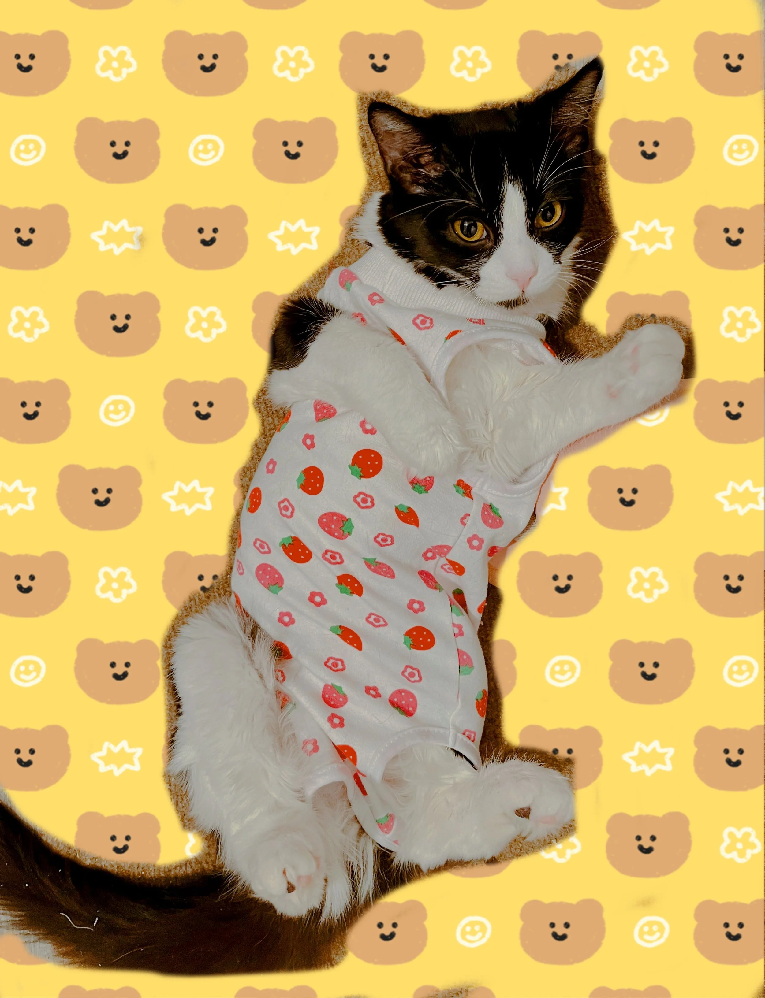 Milky - outfit 2.jpg