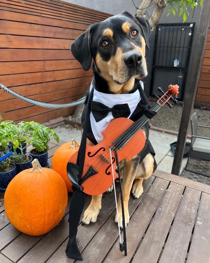 Fritz Best Outfit.jpeg