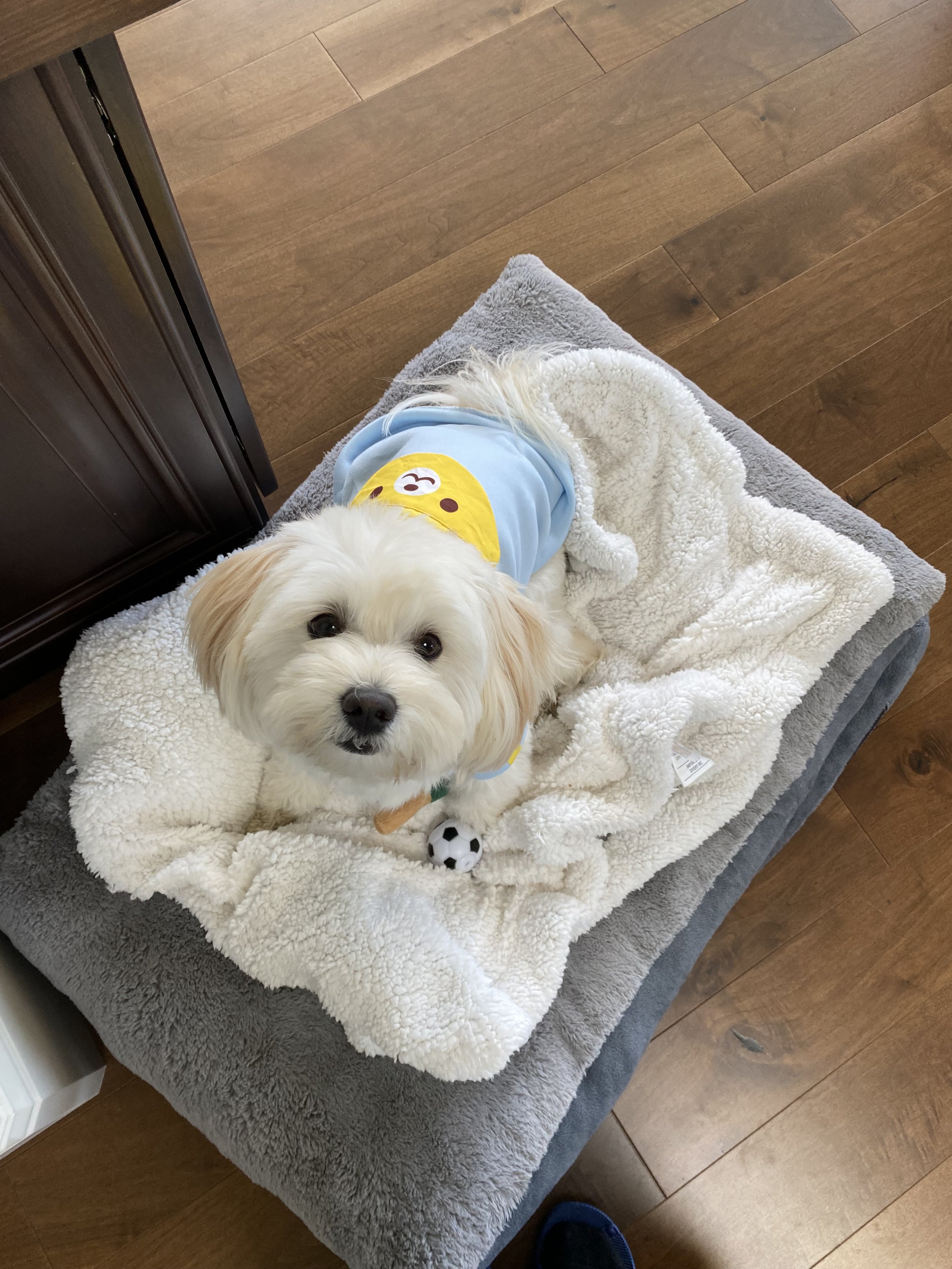 Sarang Outfit 2.jpeg