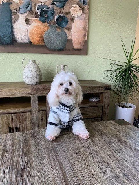 Cherrie - Best Outfit.jpg