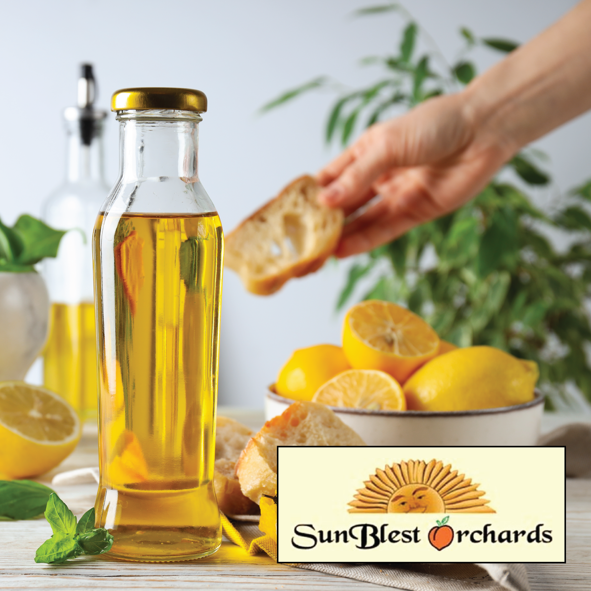 Olive Oil 2 Web Icon.png