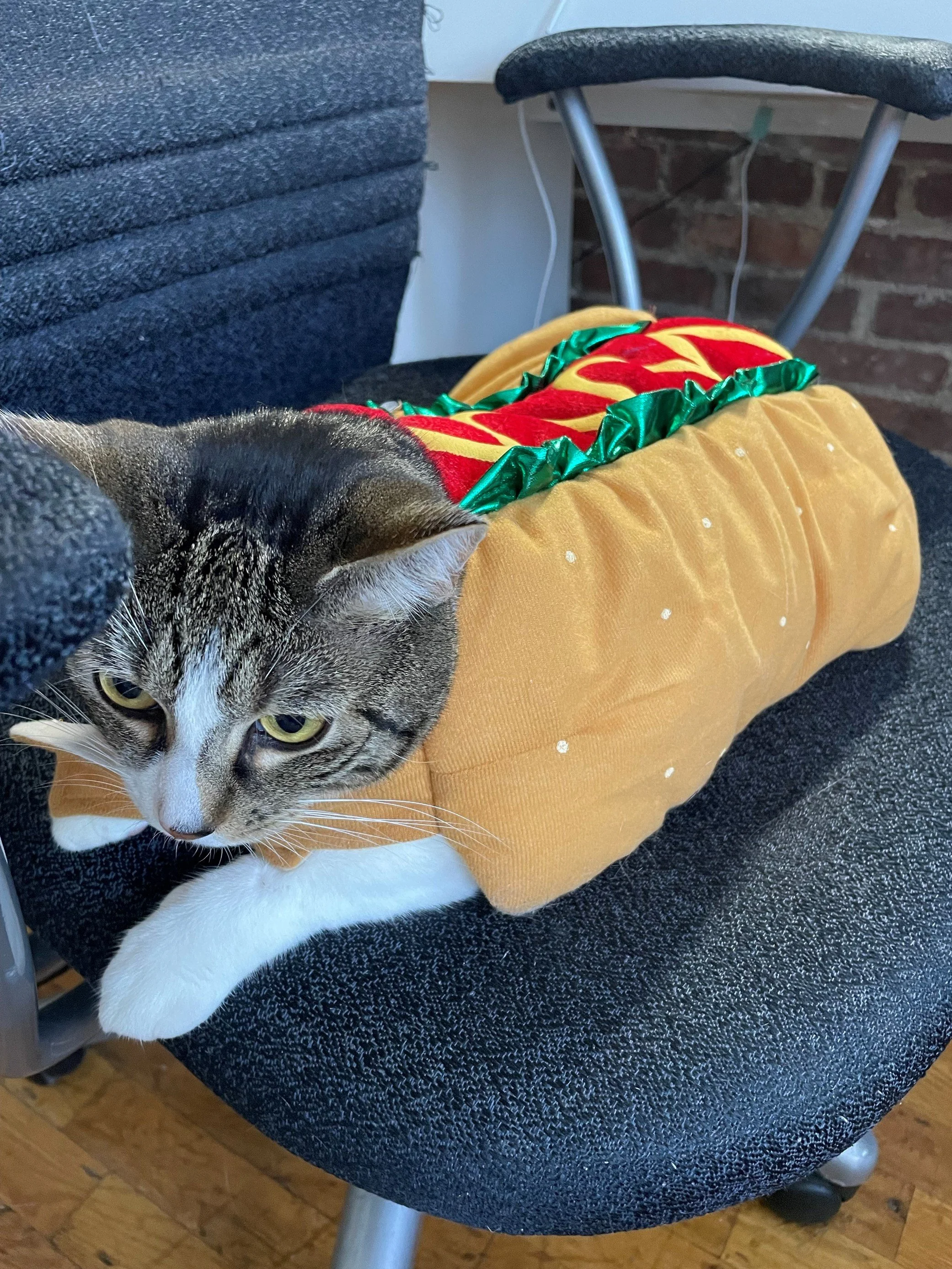 Frankie Best Outfit.jpg