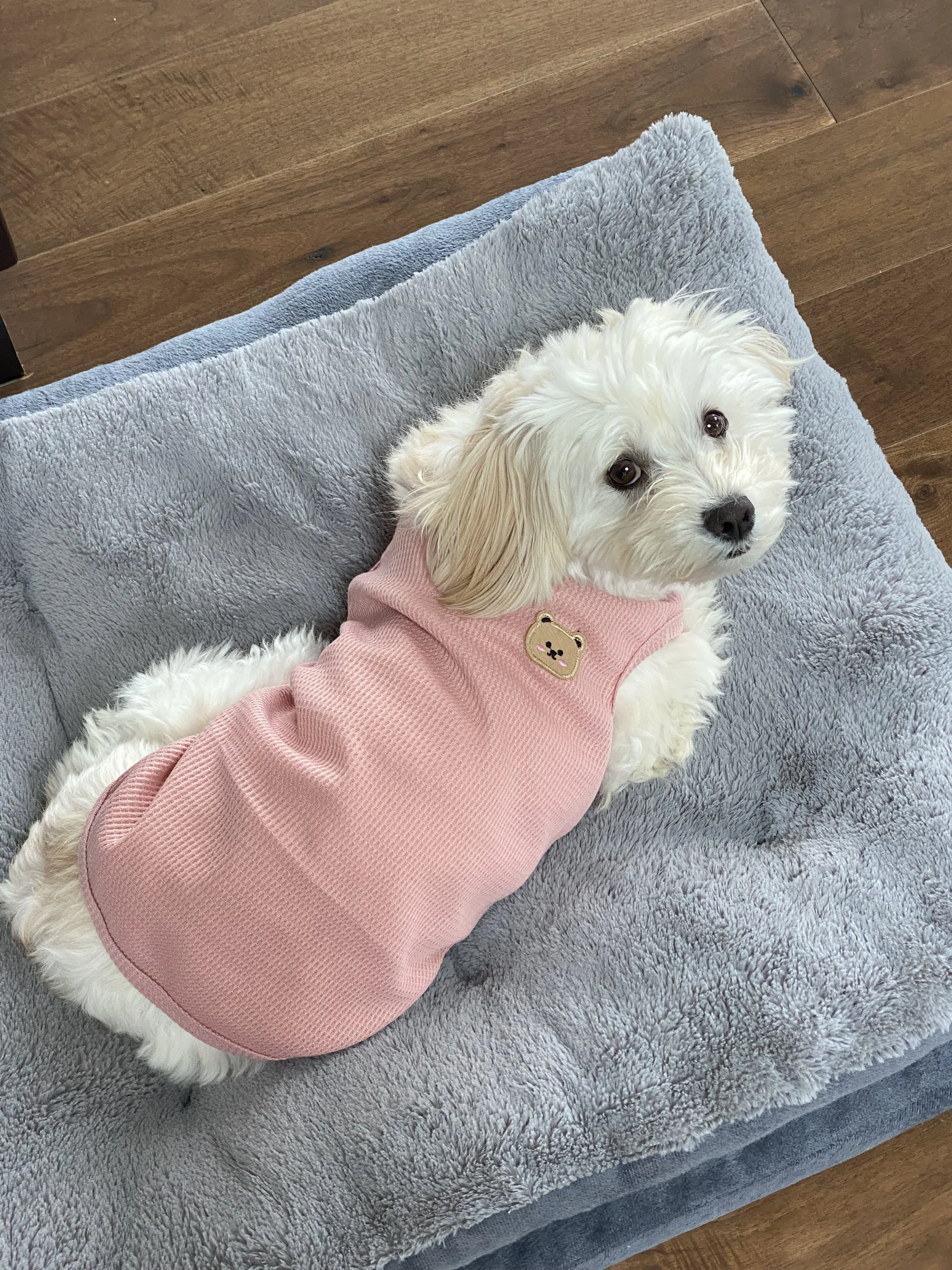 Sarang Outfit 1.jpeg