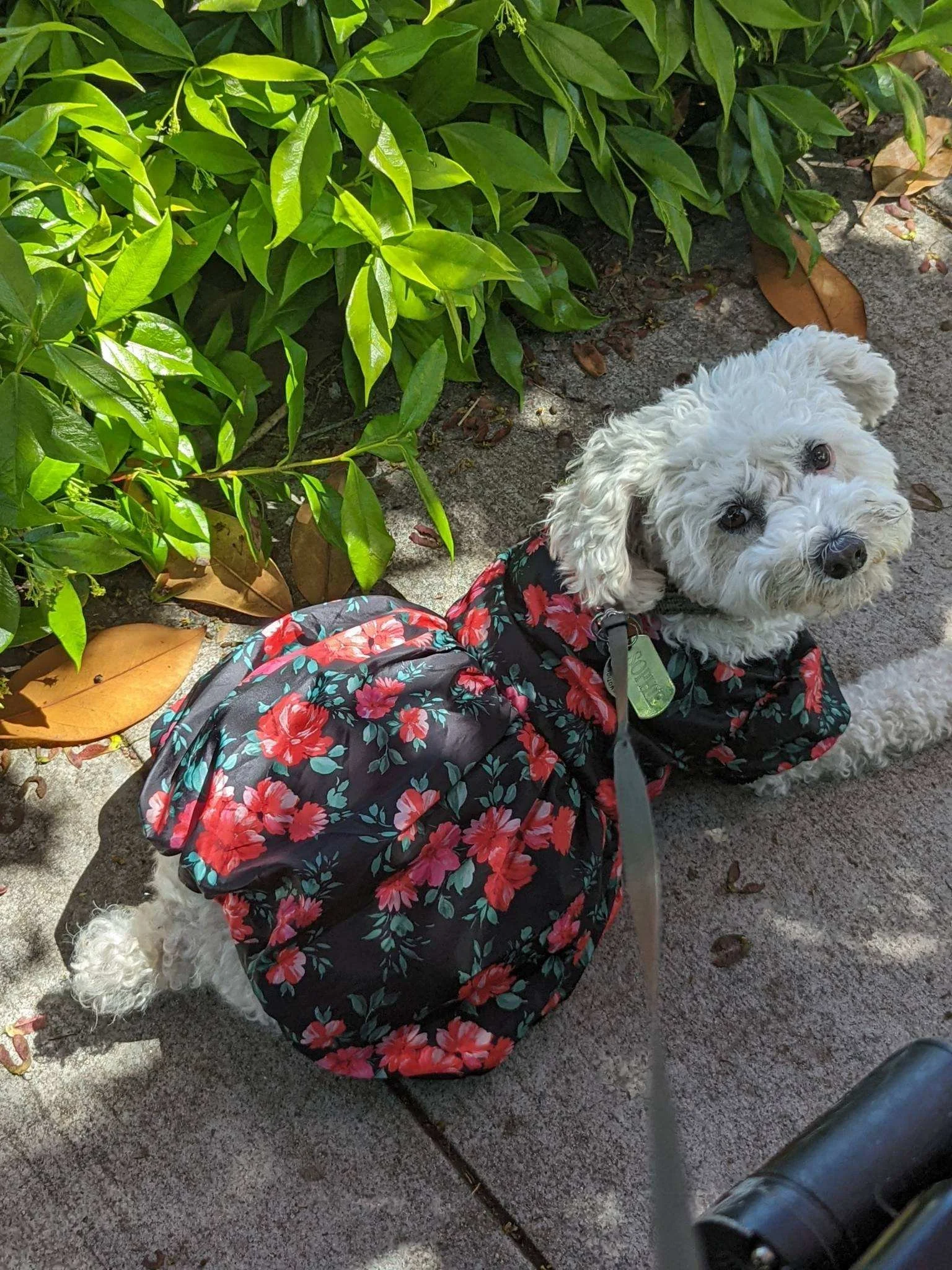 Sophie Best Outfit 3.jpg