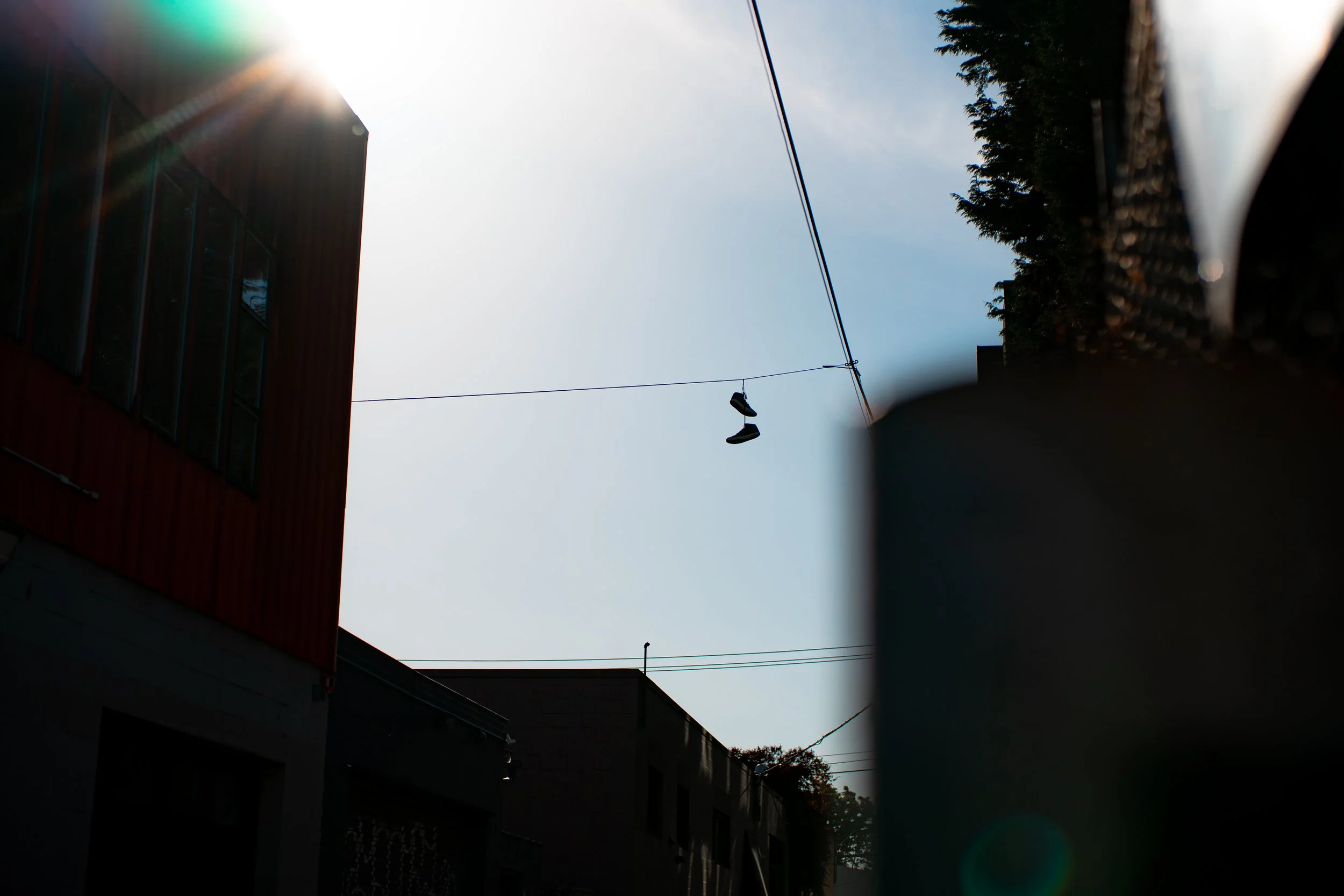 DSC02312.jpg