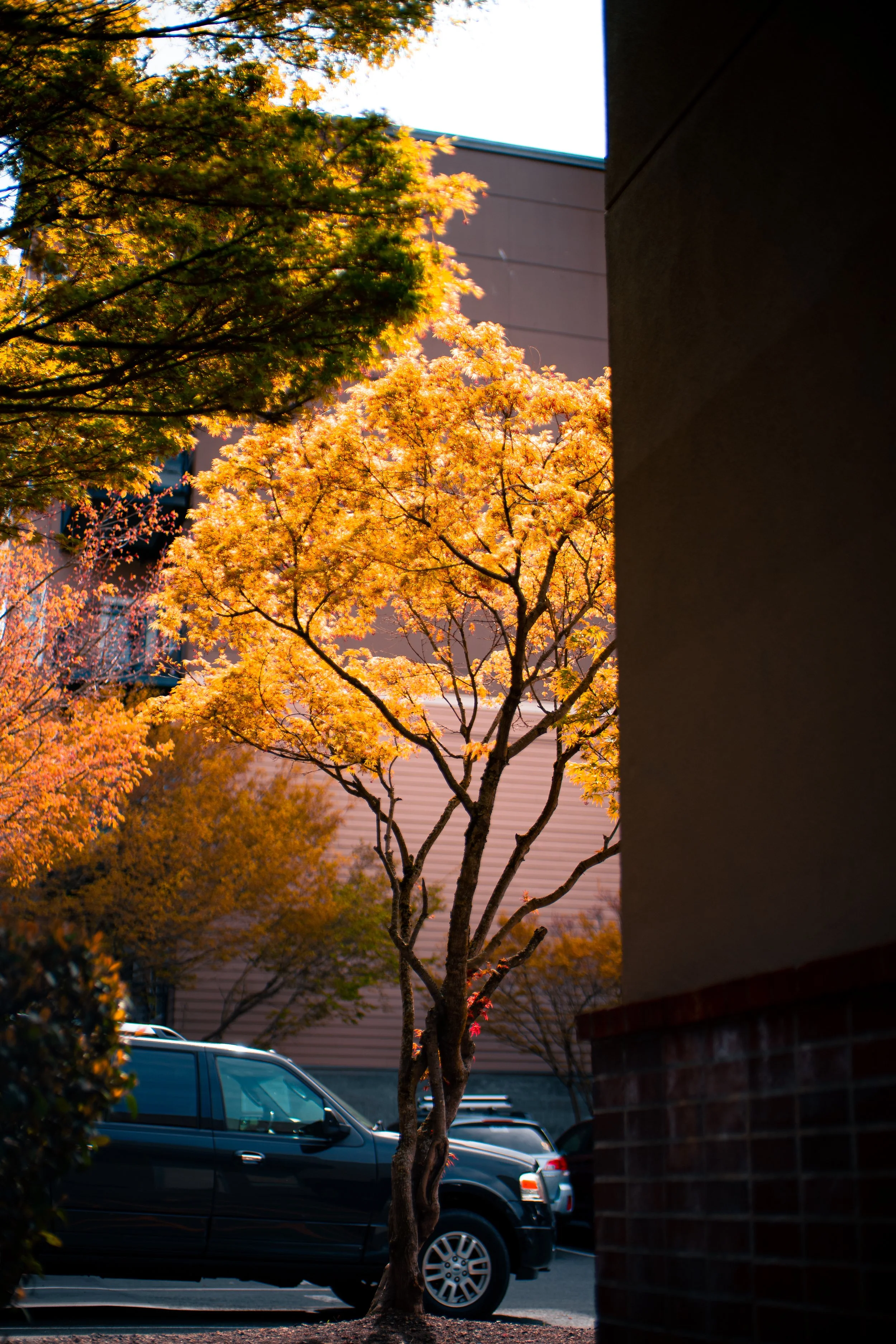 DSC01675.jpg
