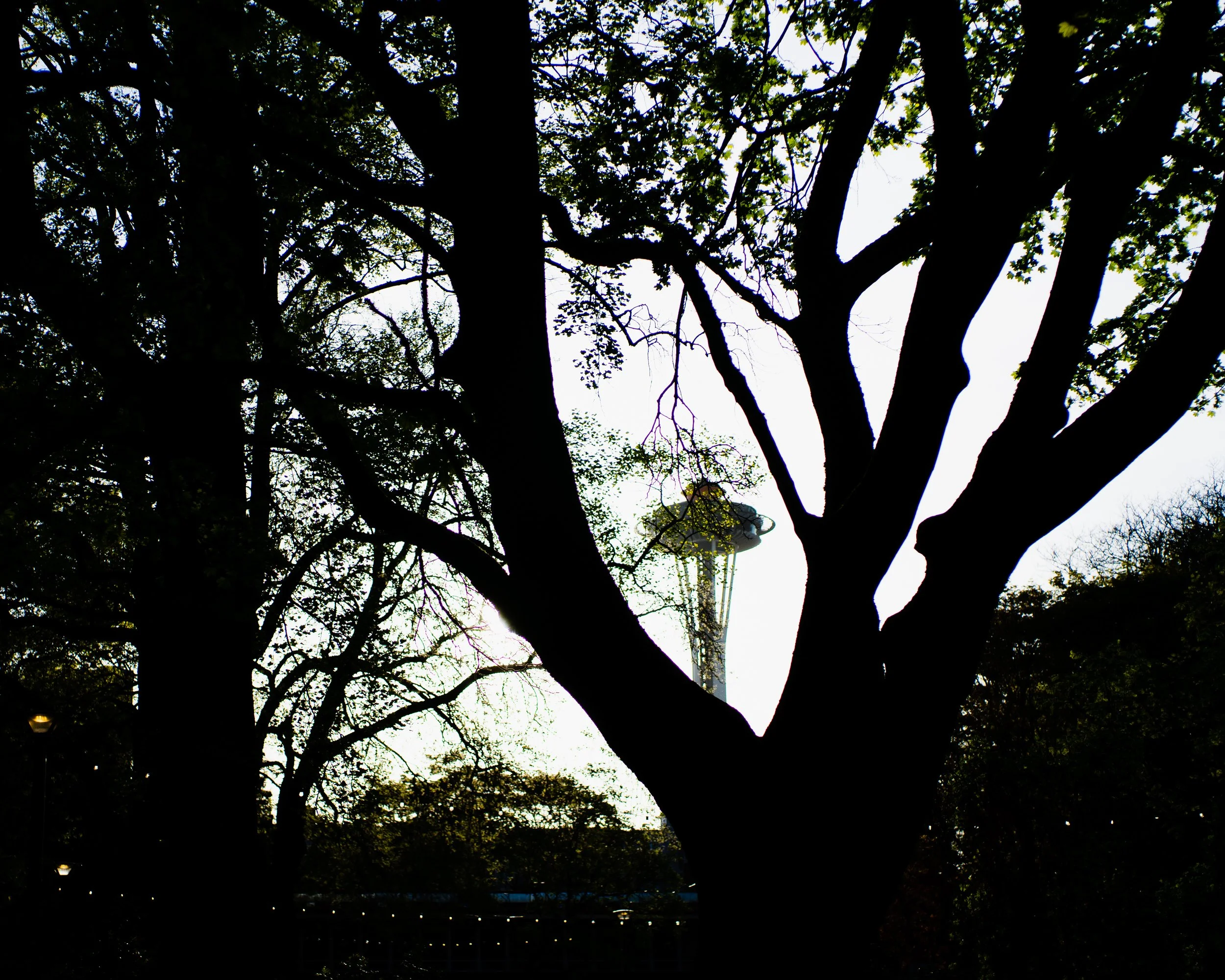 Instructions For Inifnity.