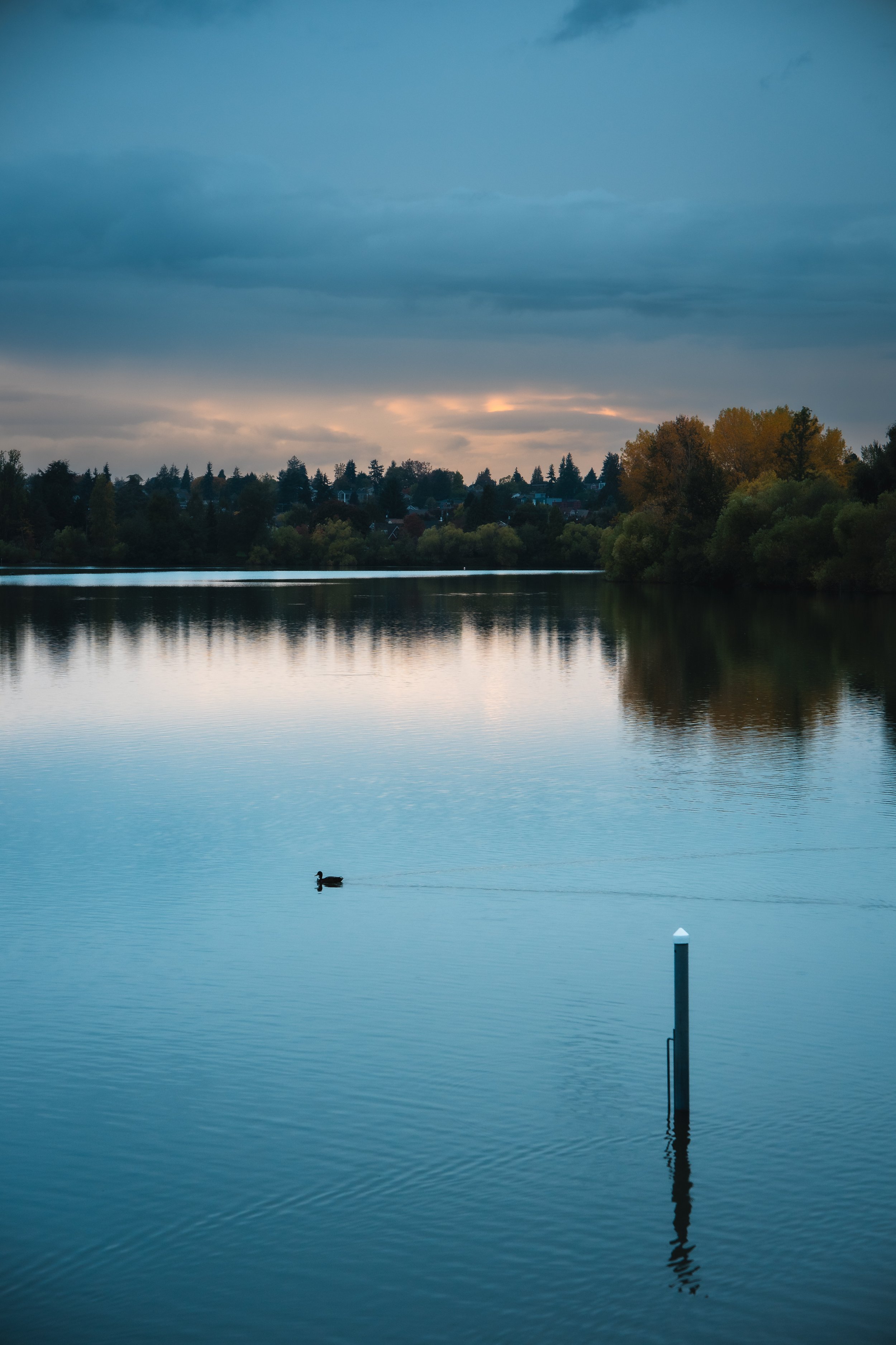 (II) The Hero’s Journey