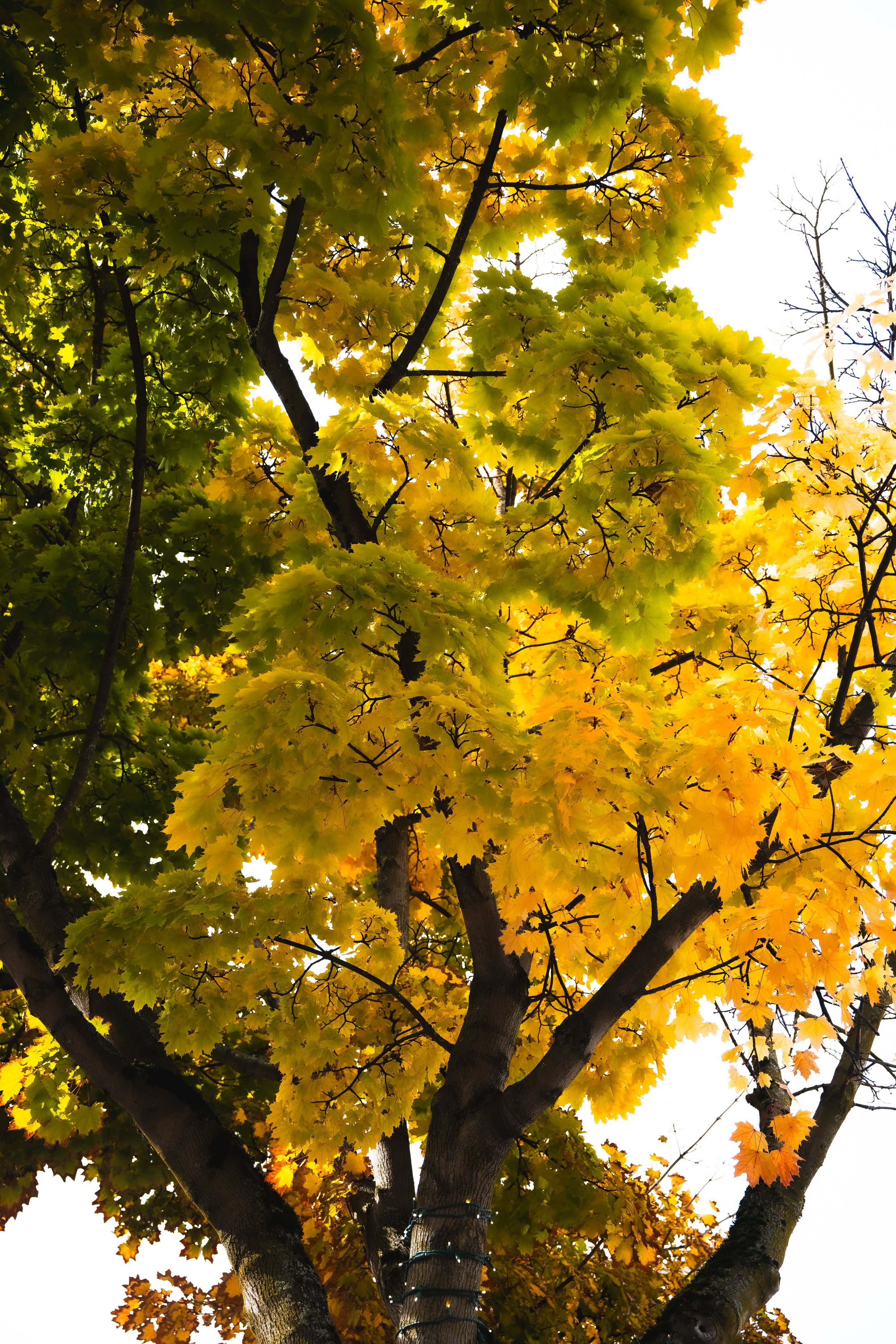 The Recommendations Episode.