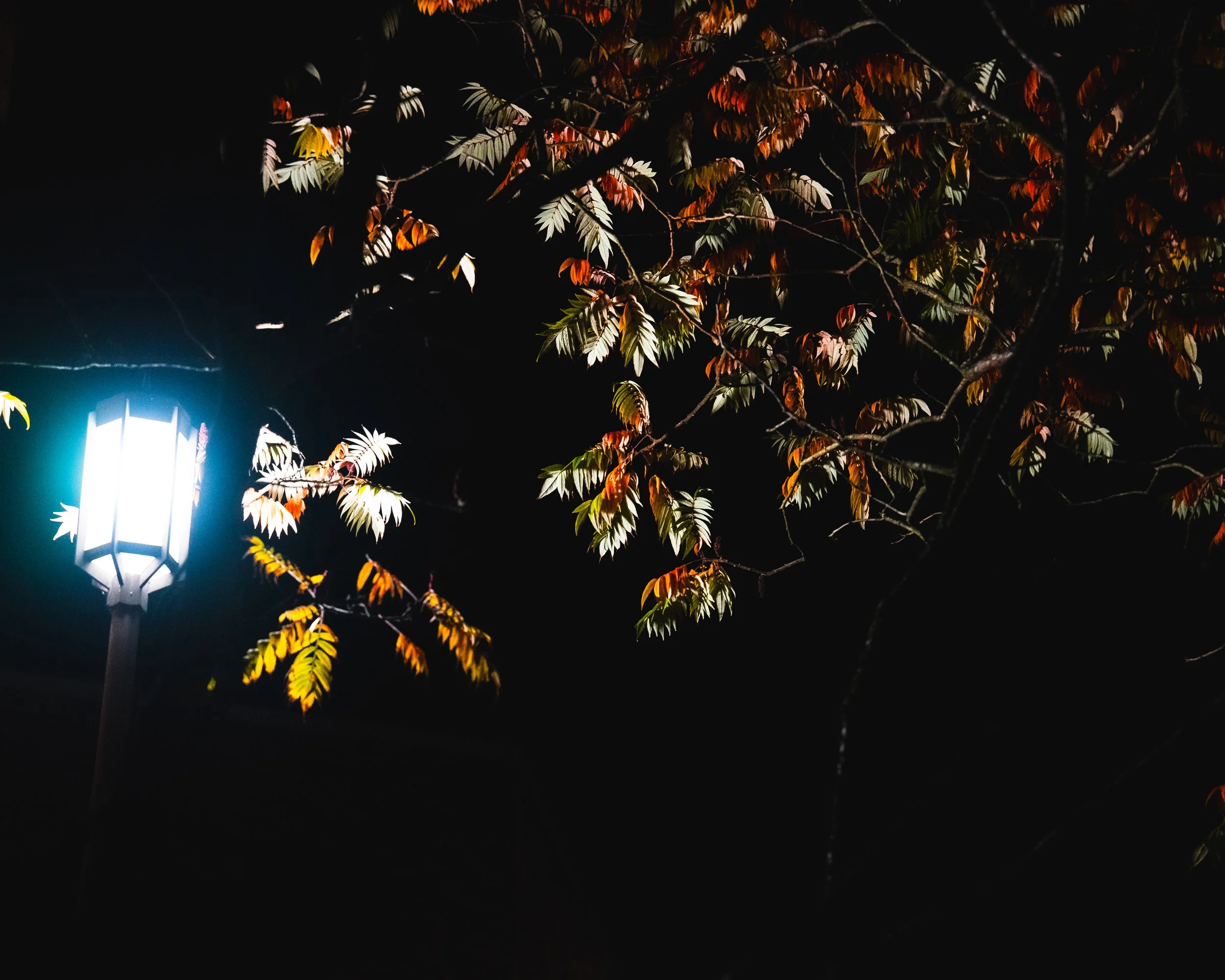 Learning, Practice, and Teaching.