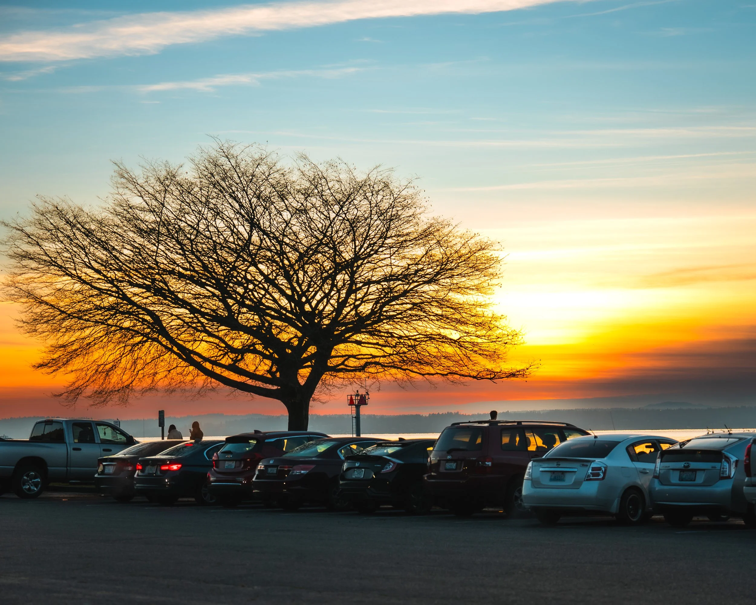 The Raven Chronicles. (Preface.)