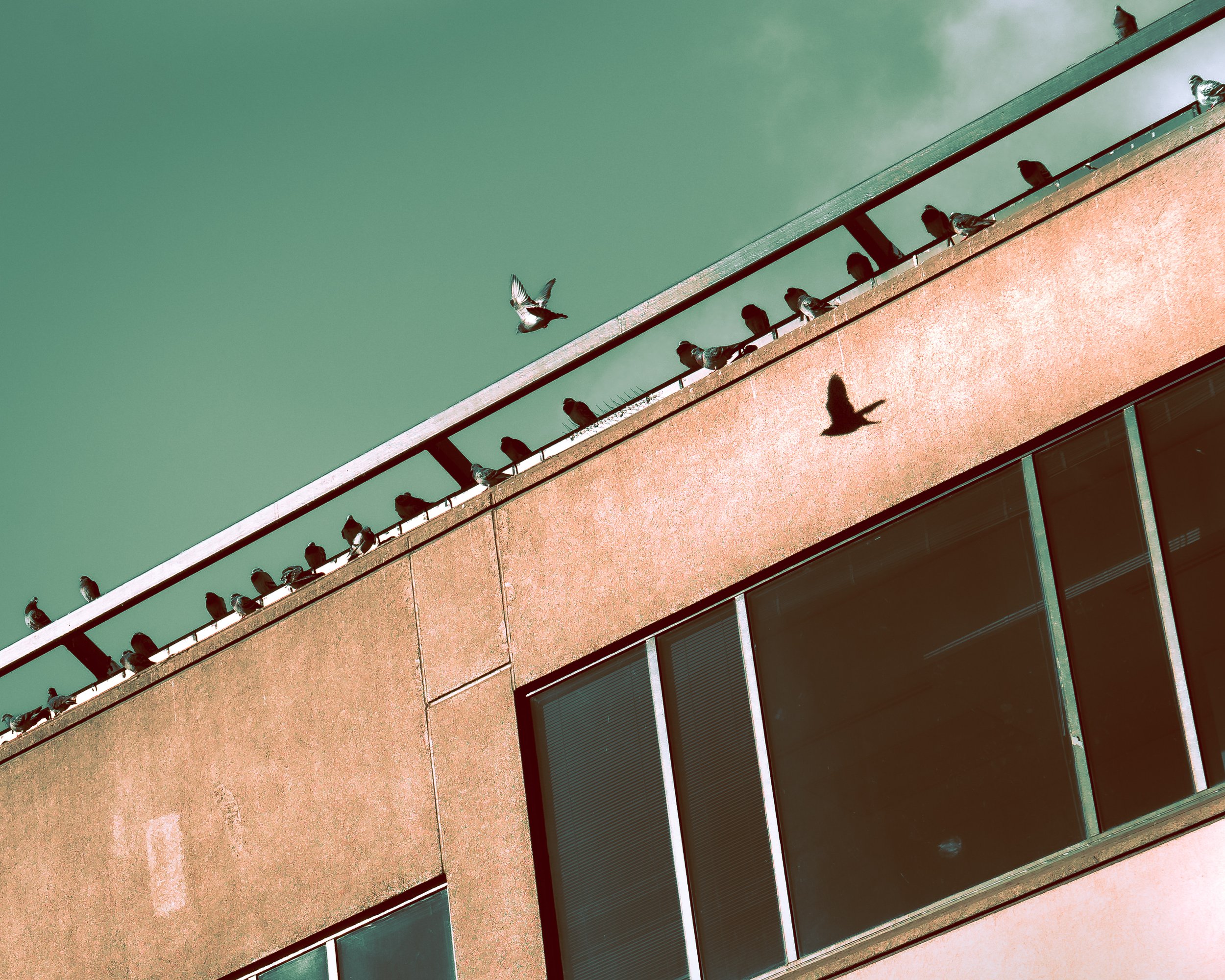 Duplicity, Revisited.