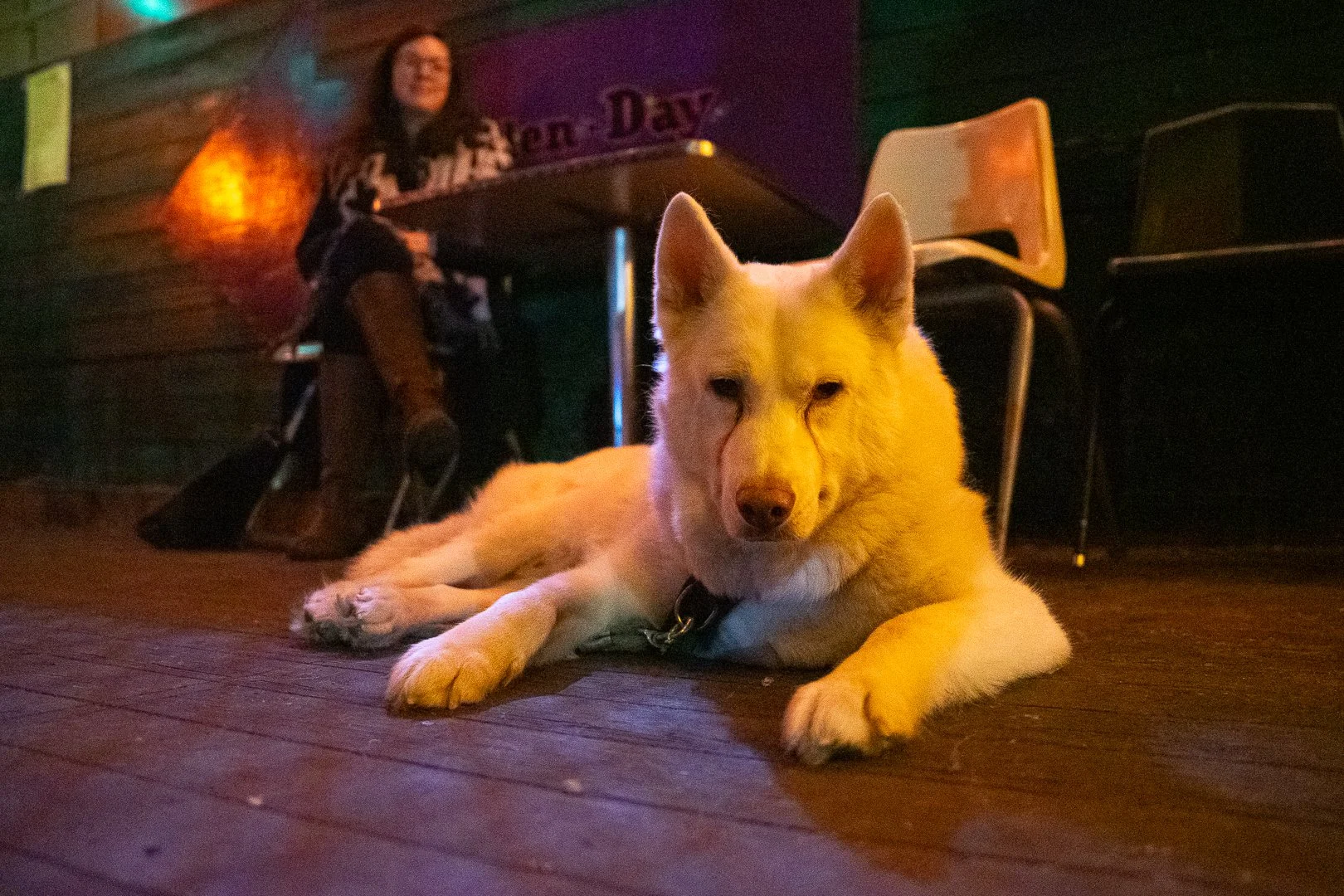 importio 2.4 (66)-2.jpg